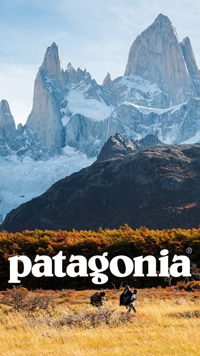 Patagonia Logo Scenery Background