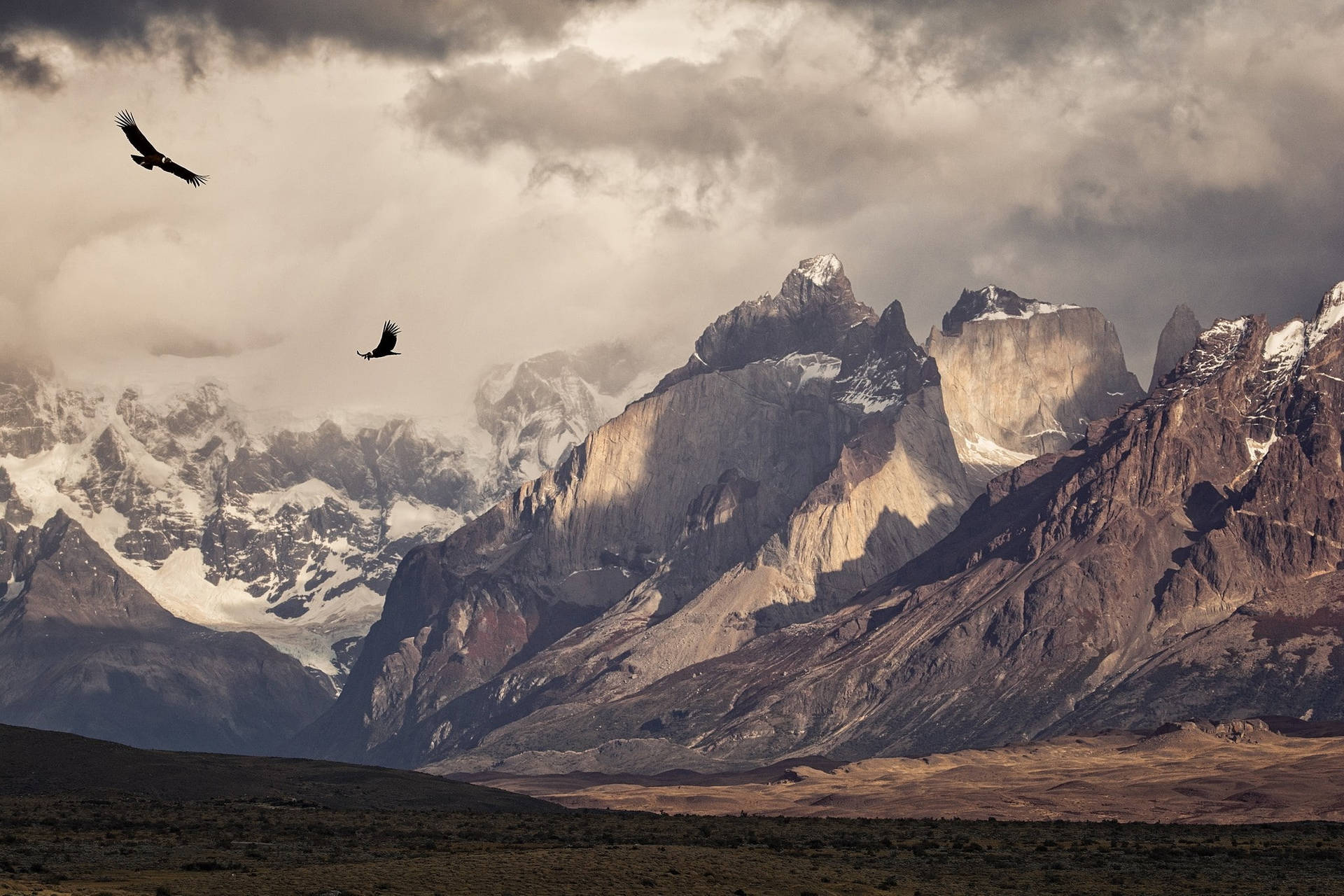 Patagonia Soaring Eagles Background