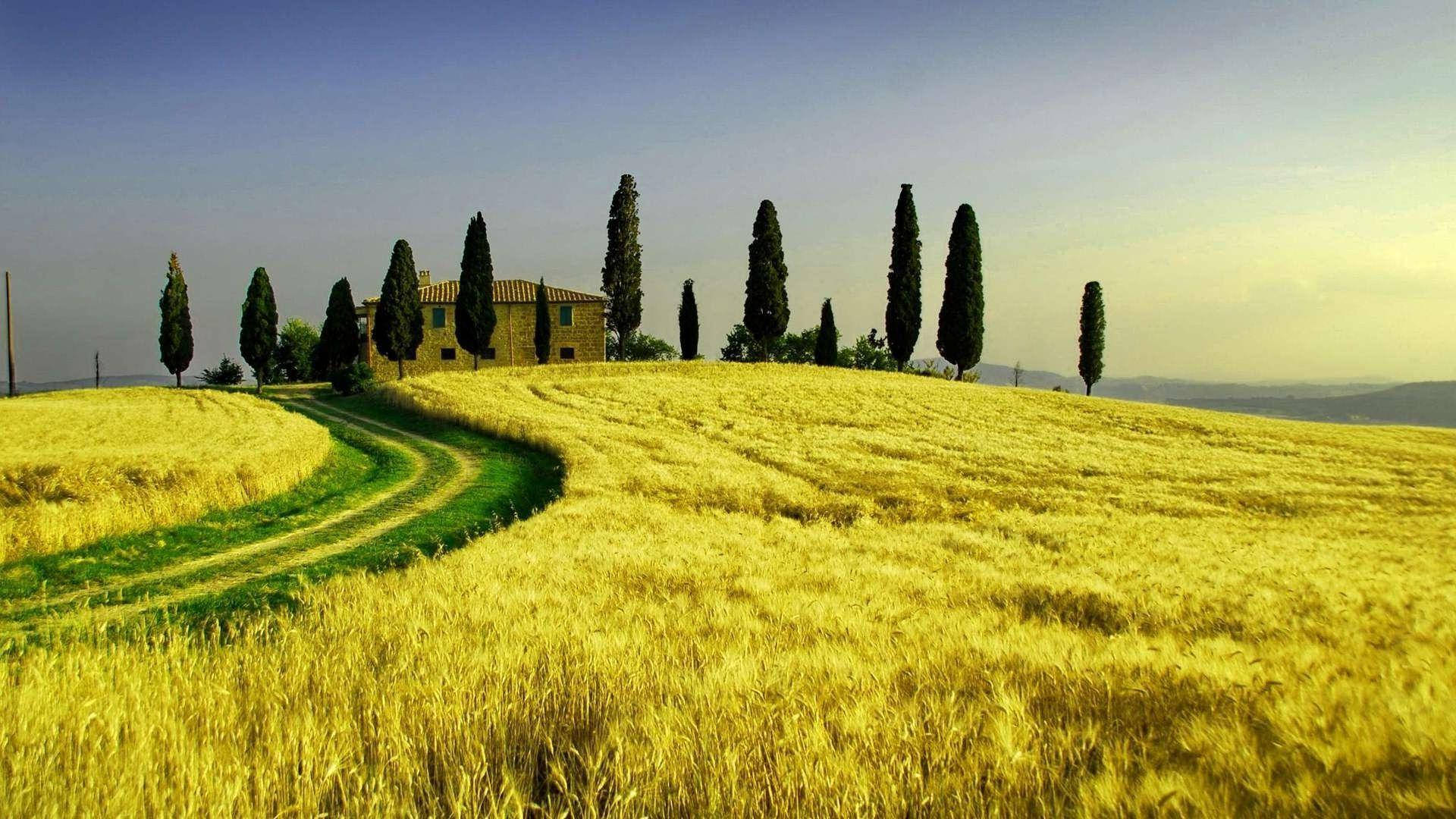 Path Leading To House Tuscany Background