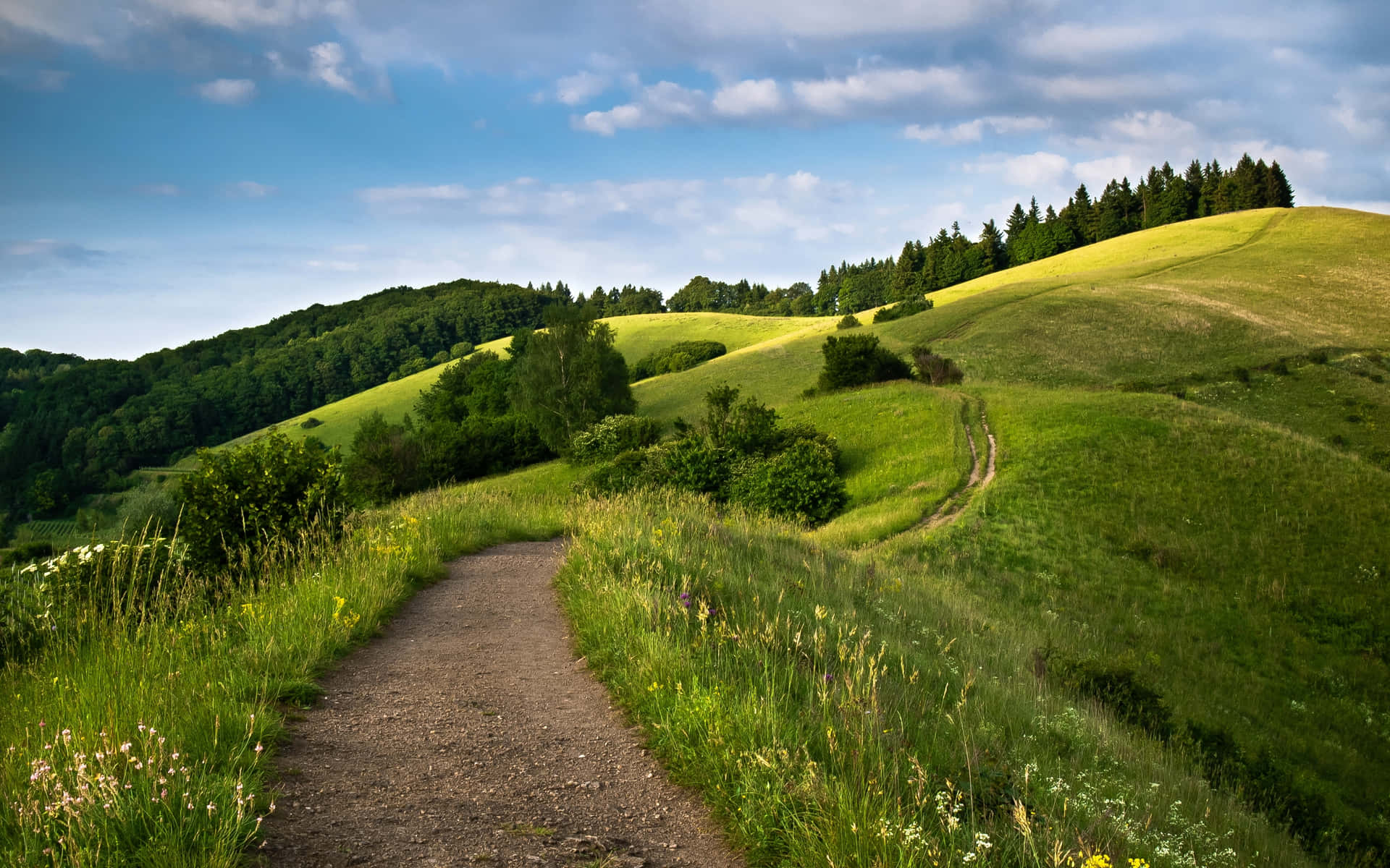 Path On A Hill Background