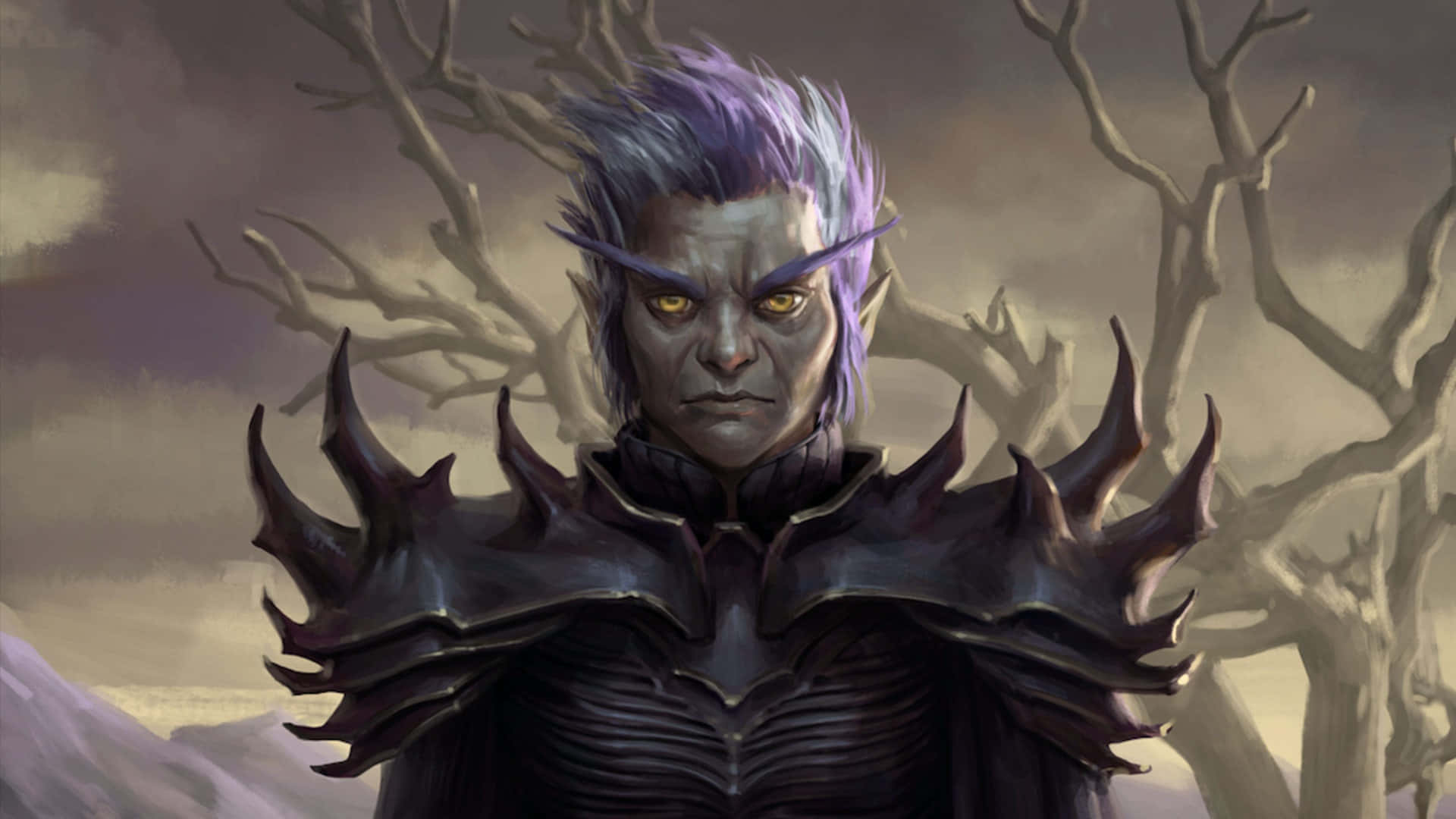 Pathfinder: Wrath Of The Righteous Purple Elf Background