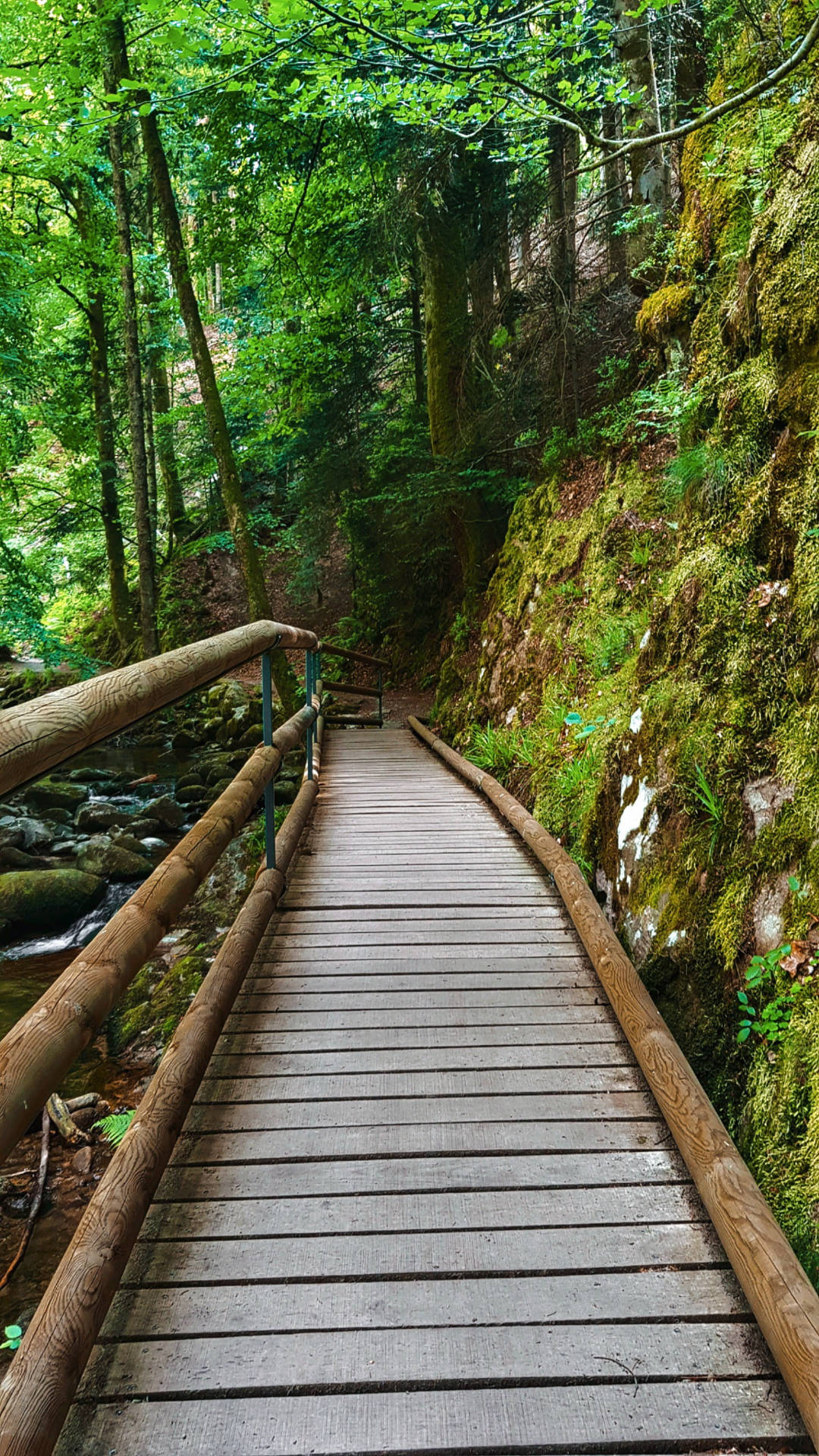 Pathway Bridge Jungle Iphone Background