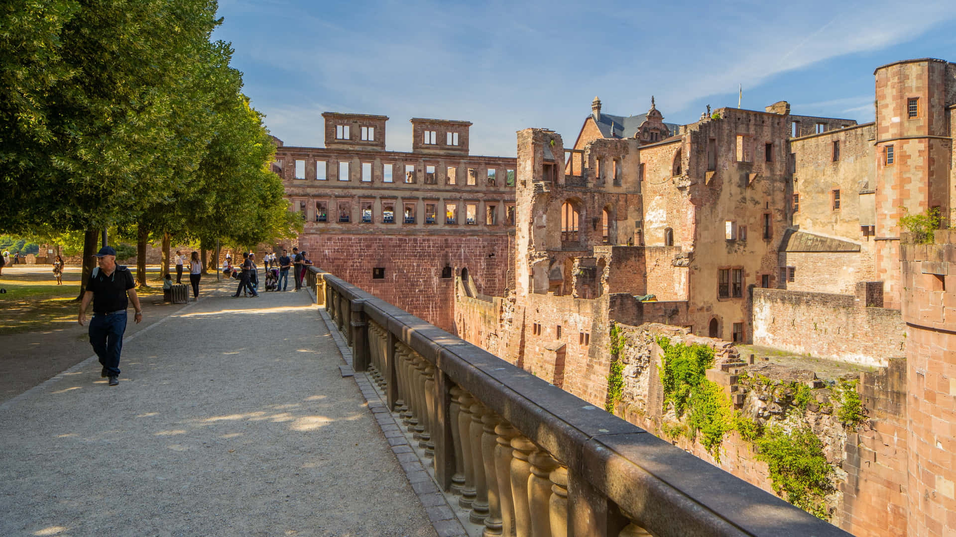 Pathway Overlooking Heidelberg Castle Background