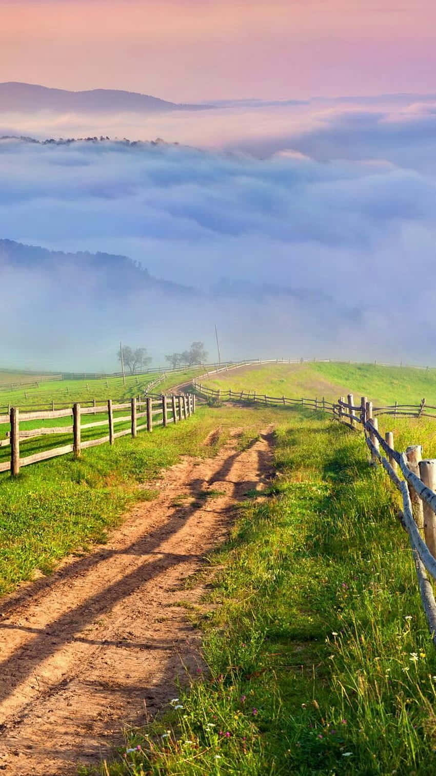 Pathway To Foggy Mountain Cute Country Background