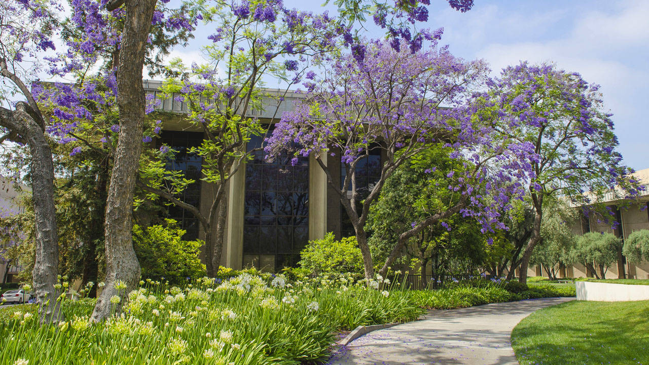 Pathway With Garden At Caltech