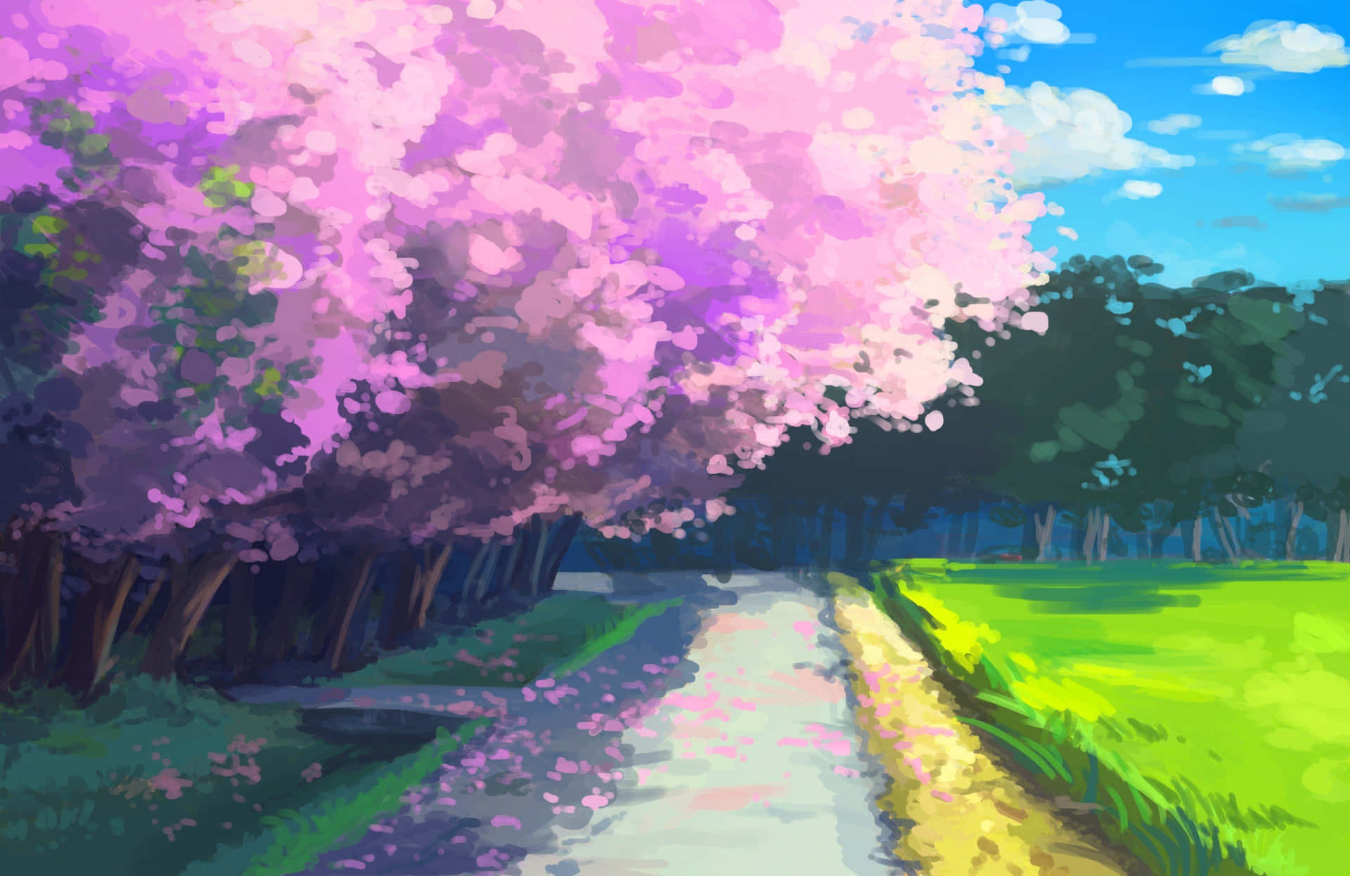 Pathway With Sakura Anime Trees Digital Painting Background
