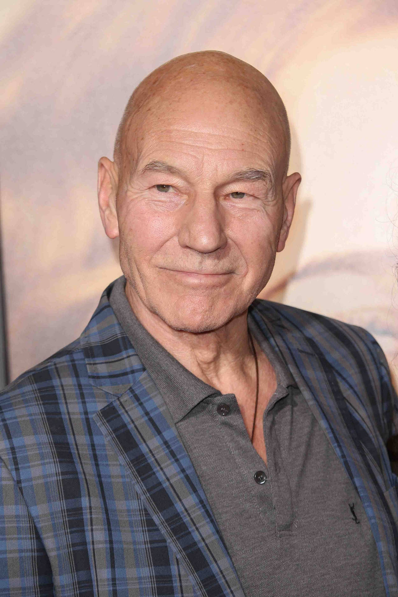 Patrick Stewart In A Checkered Coat Background