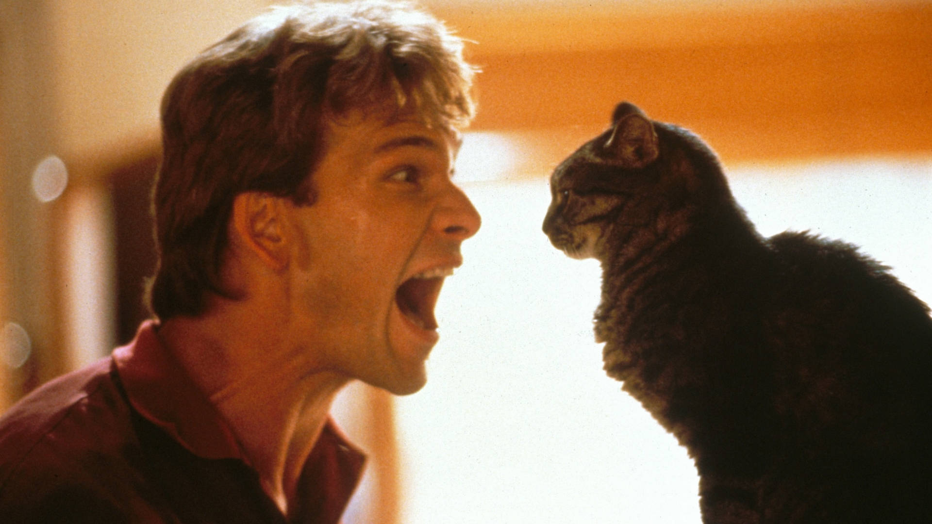 Patrick Swayze Ghost Paramount Cat