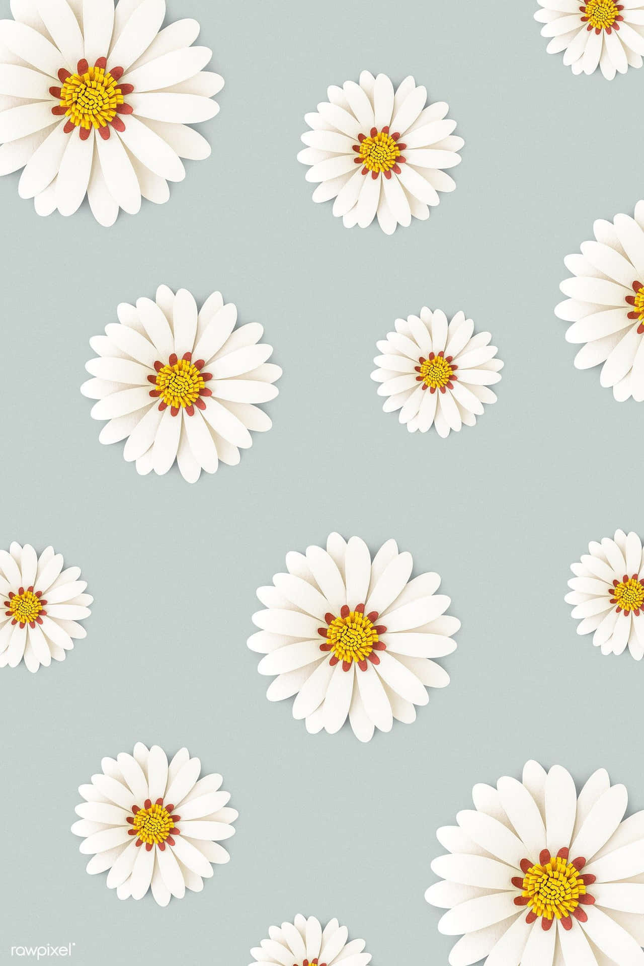 Pattern Colorful Daisies Background