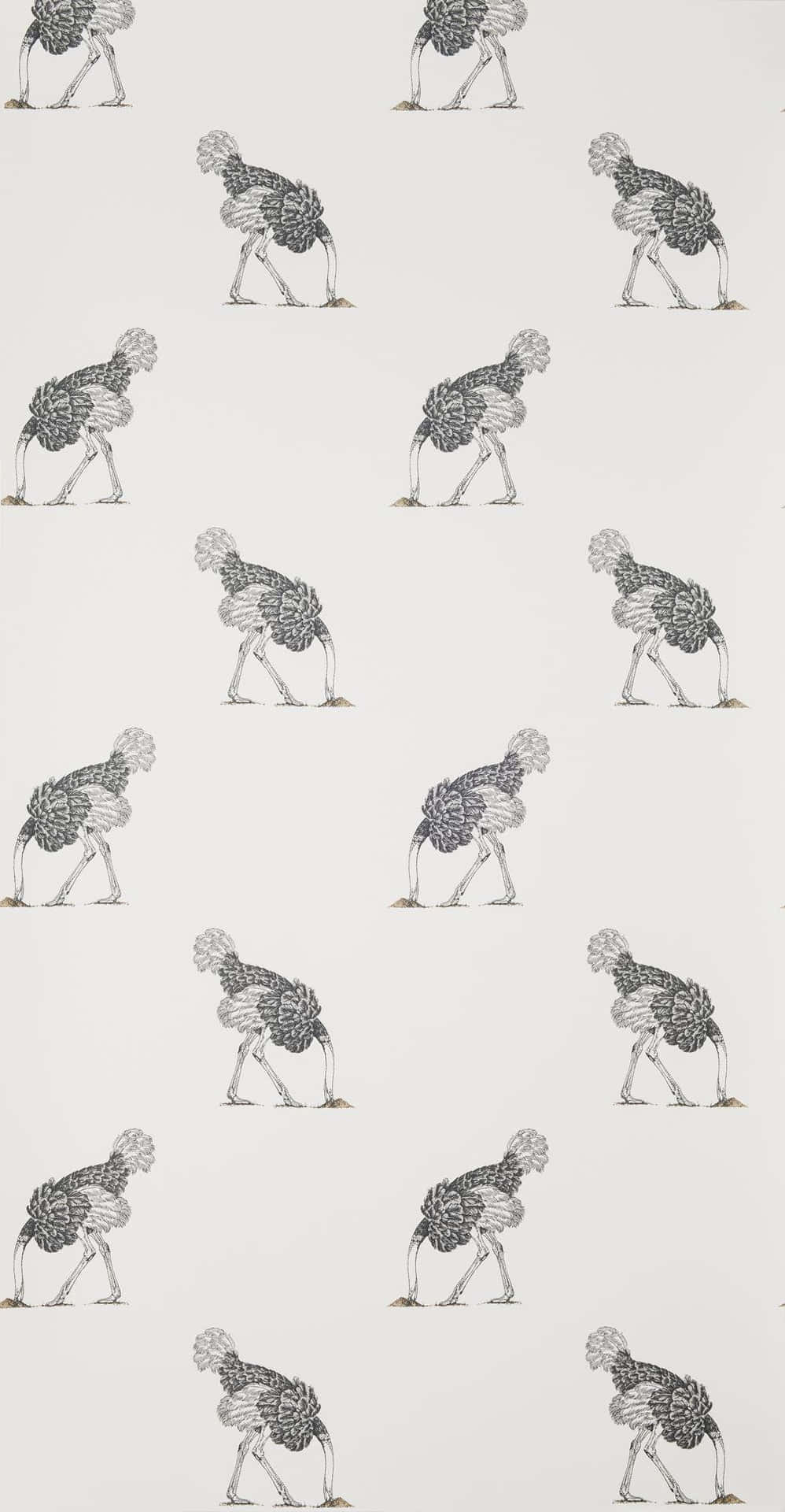 Patterned Ostrich Illustration Background