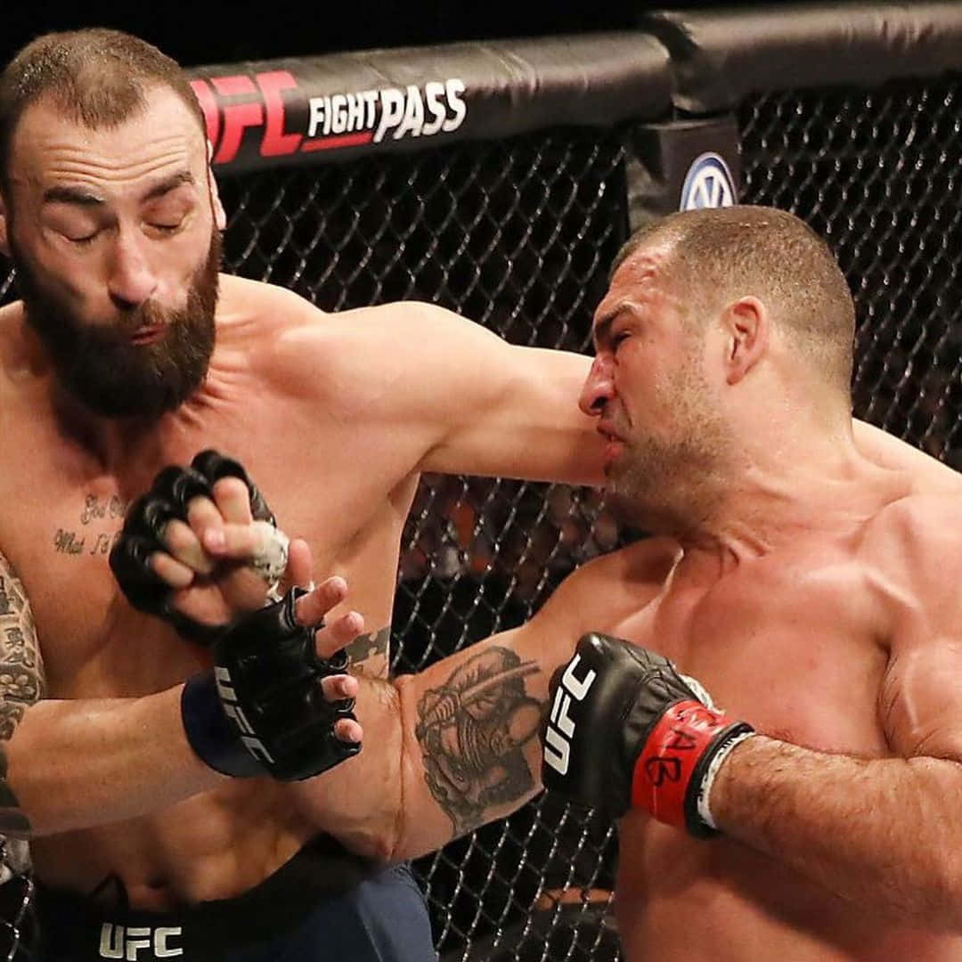 Paul Craig Receiving Face Punch