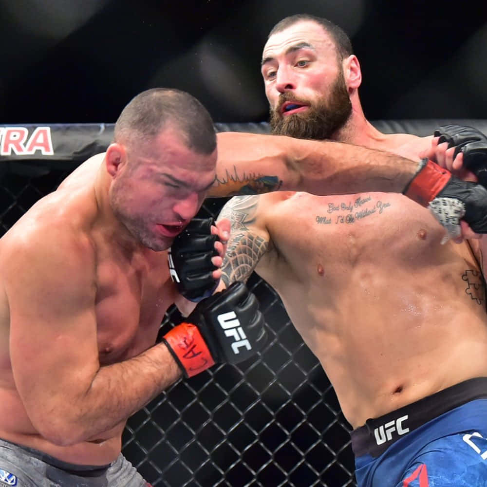 Paul Craig Trading Blows Background