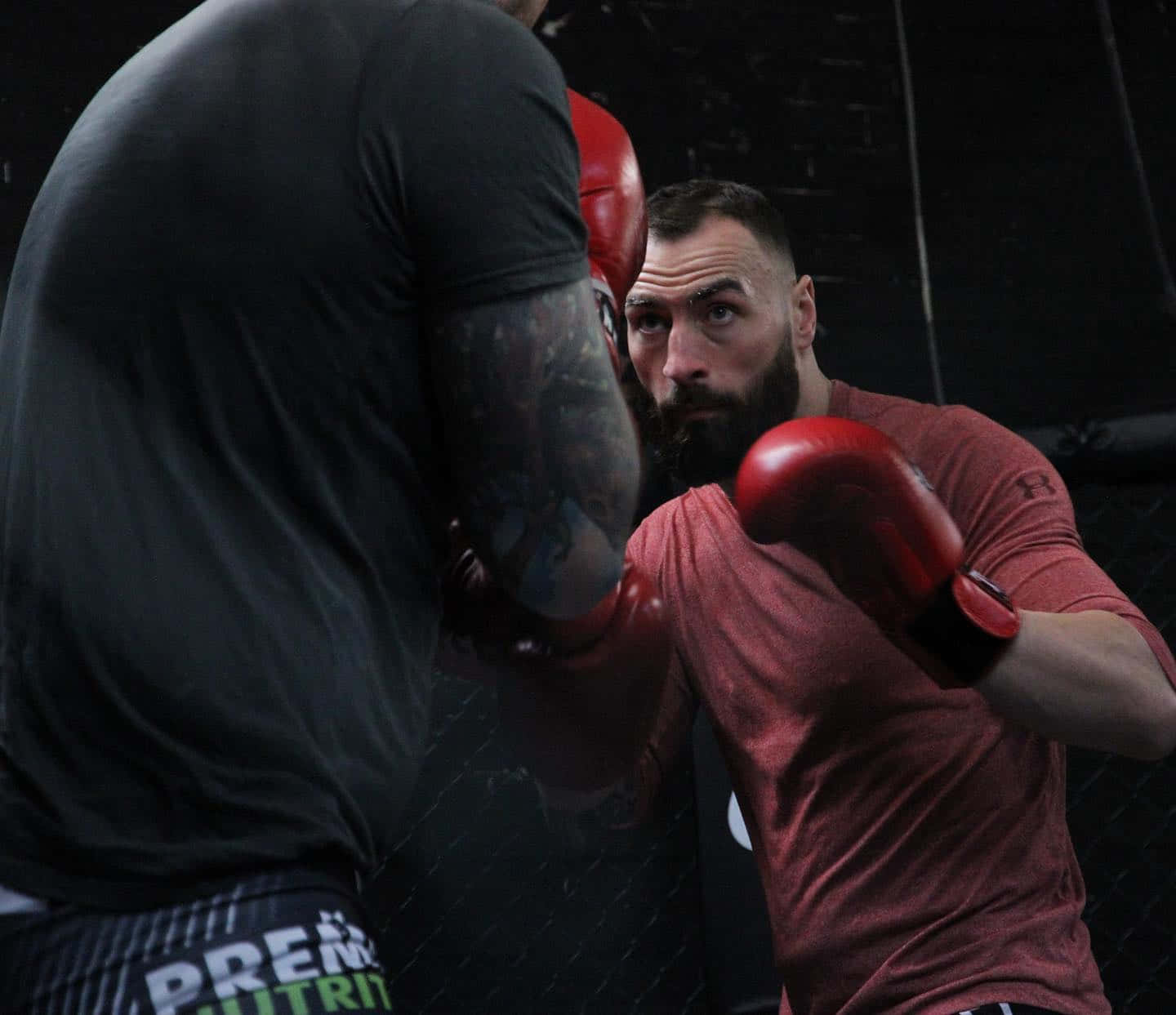 Paul Craig With Sparring Partner Background