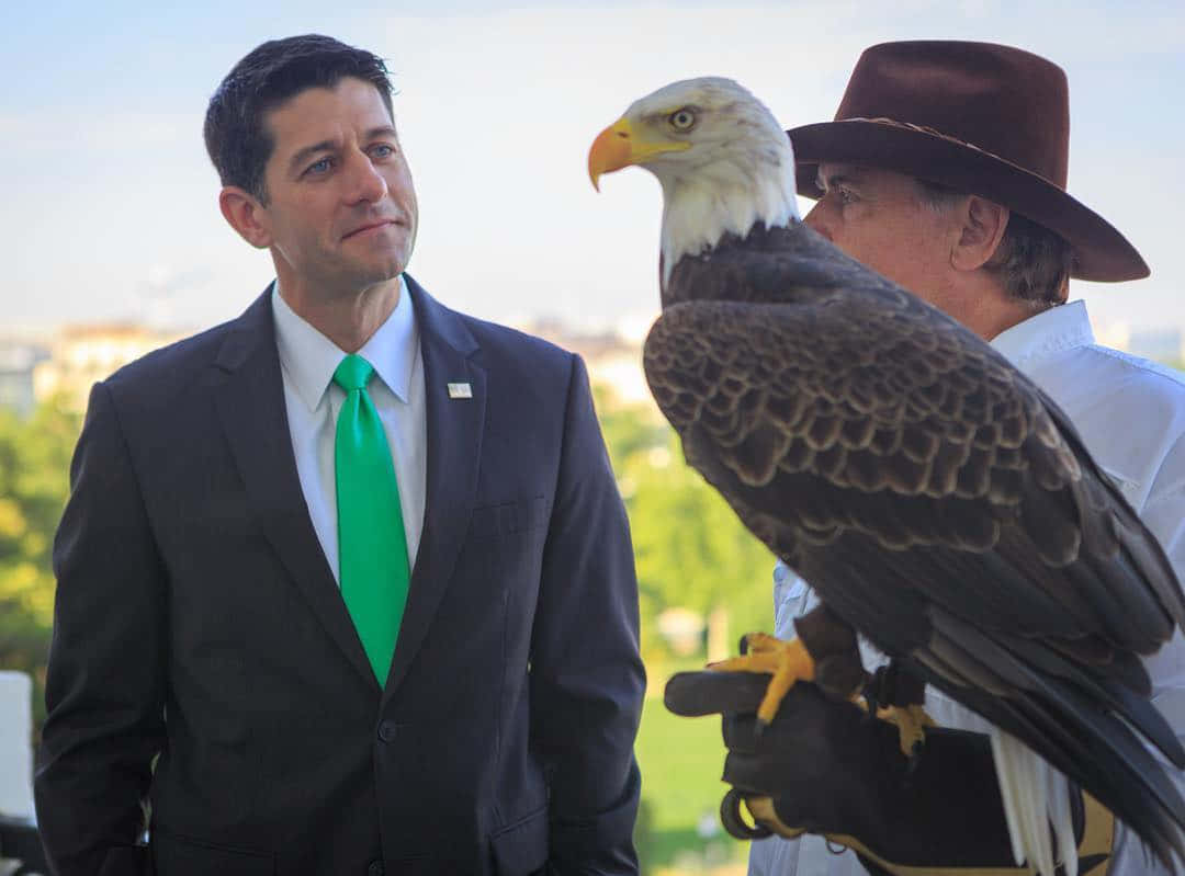 Paul Ryan With Eagle Background