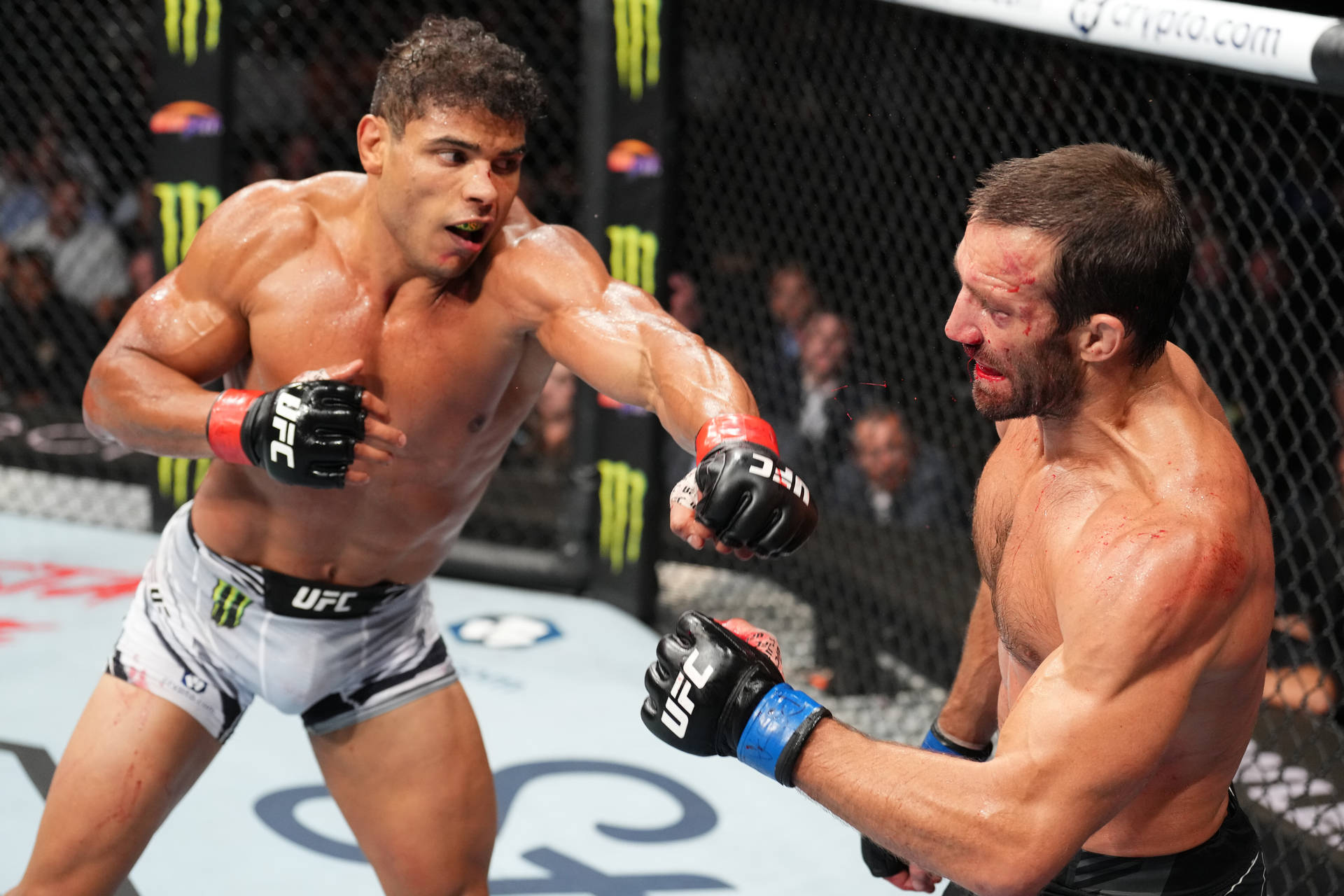 Paulo Costa Missing Punch Background