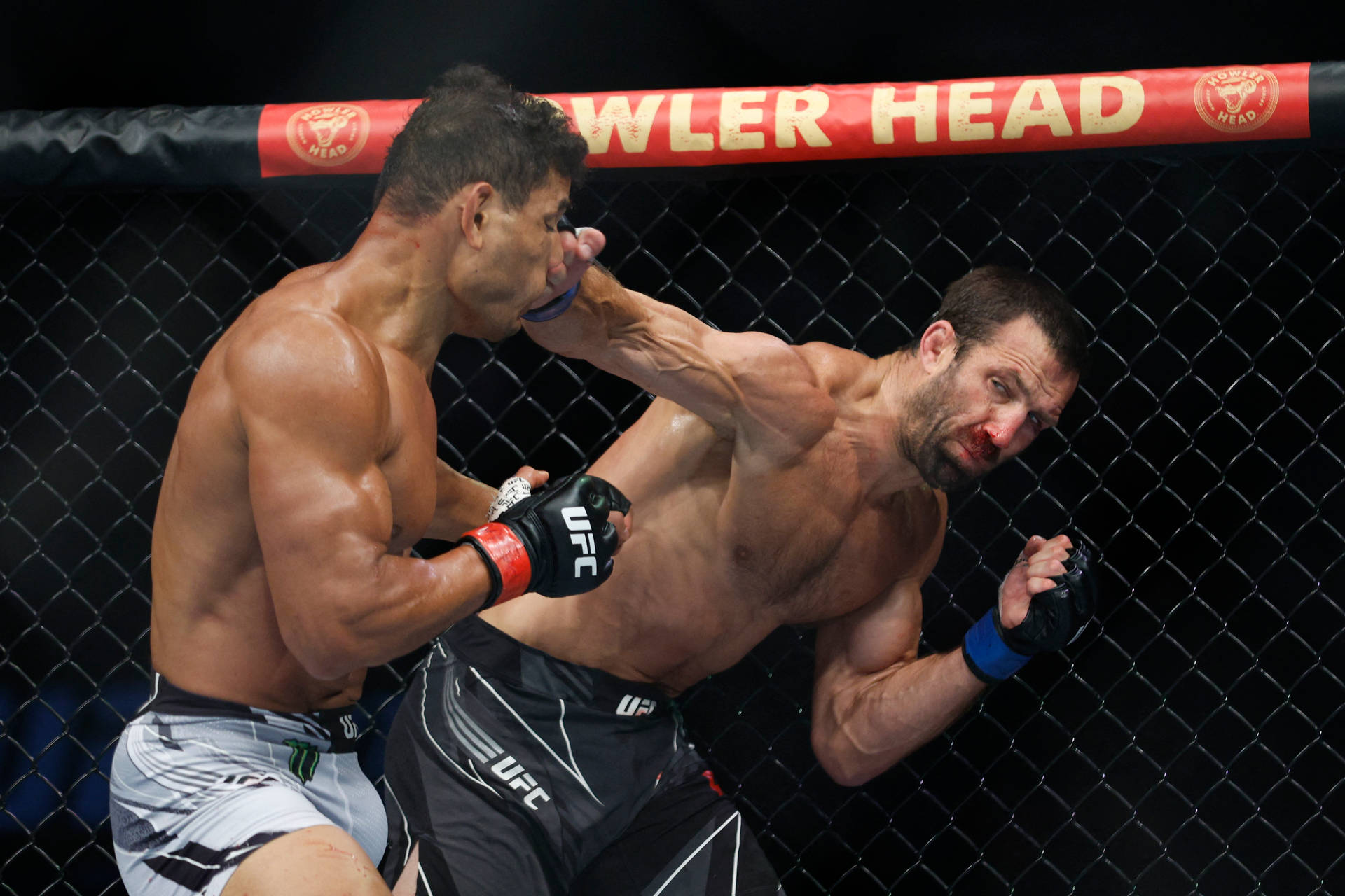 Paulo Costa Receiving Face Punch