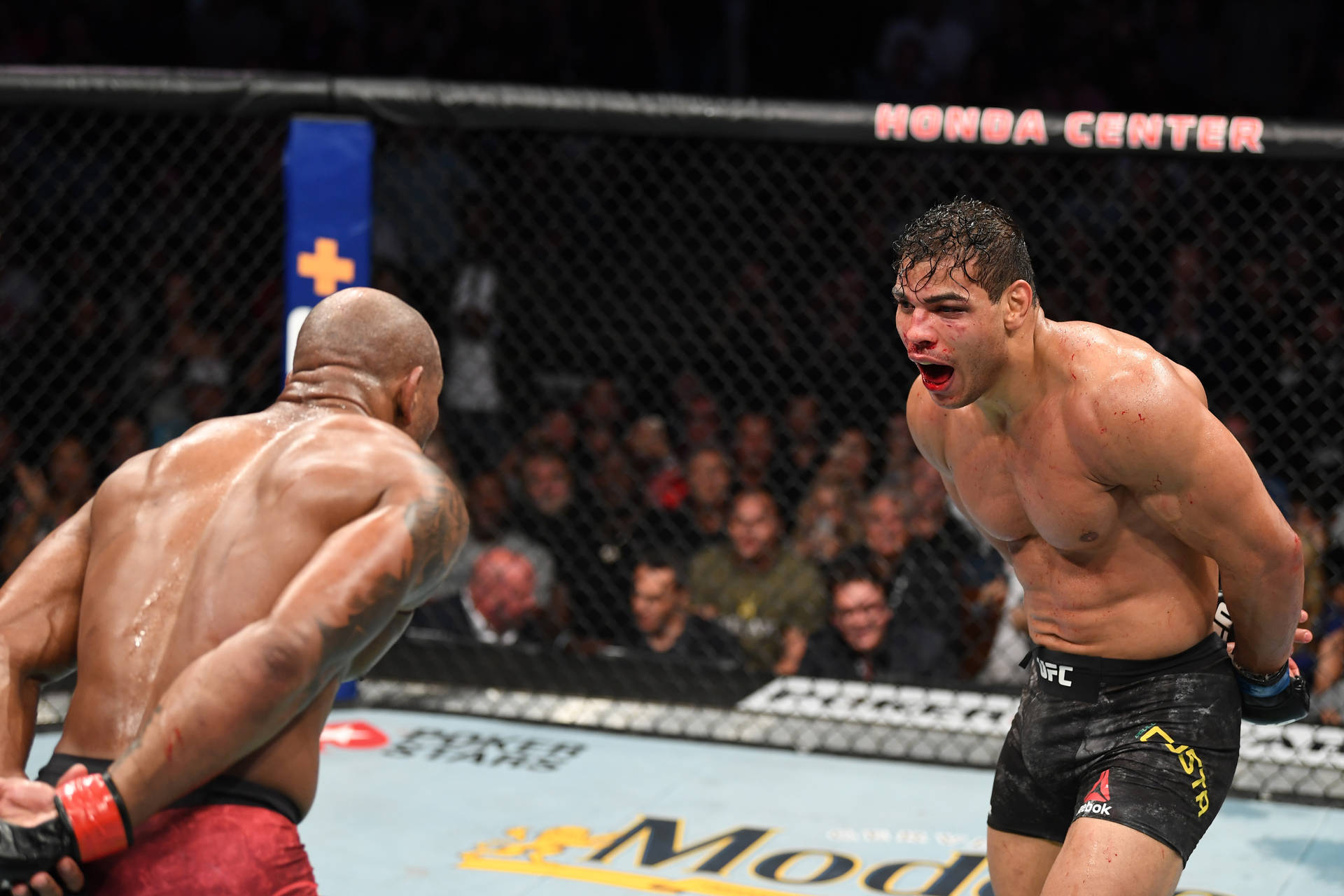 Paulo Costa Staring Down Opponent Background