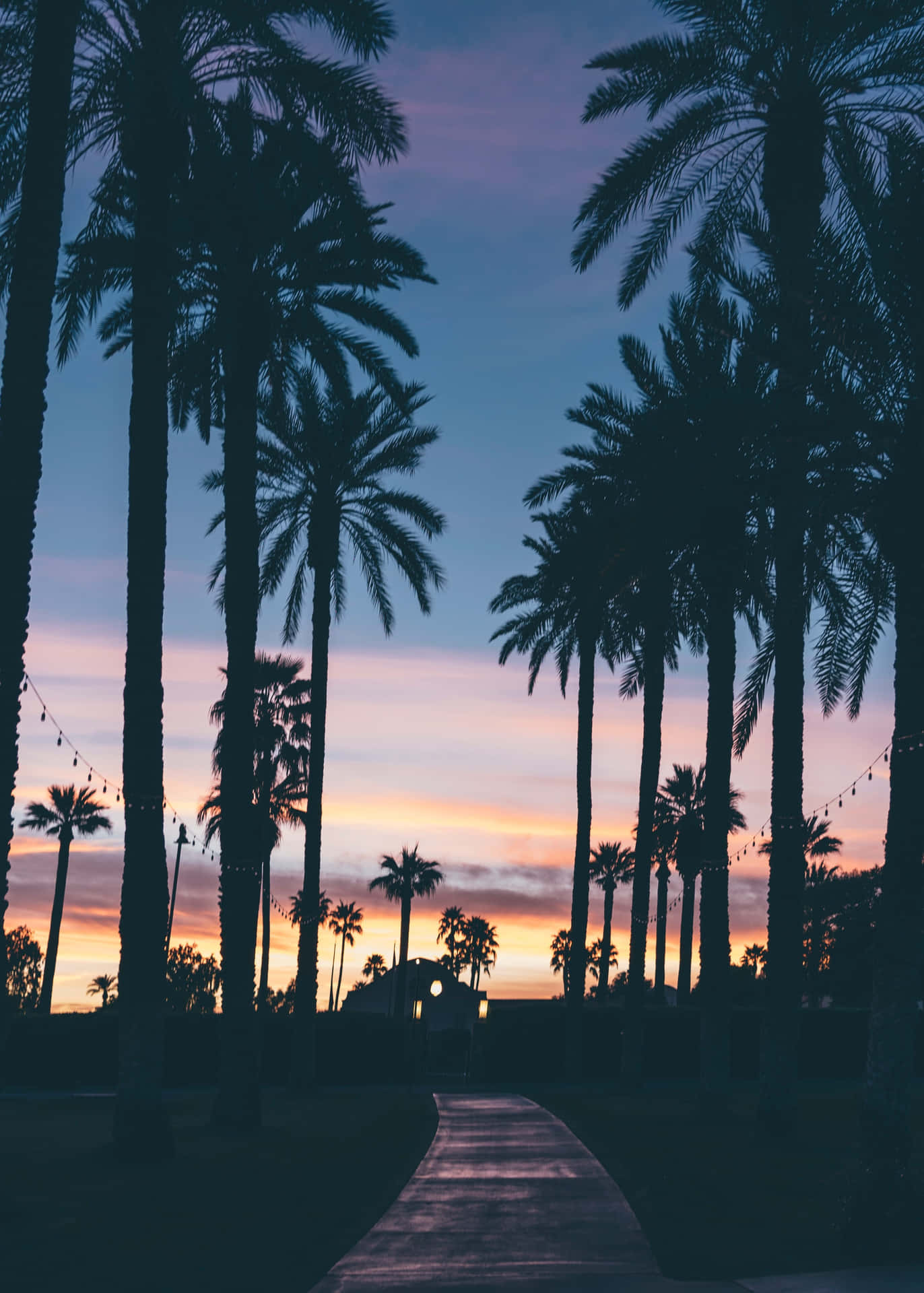 Paveway Sunset With Palm Tree Background