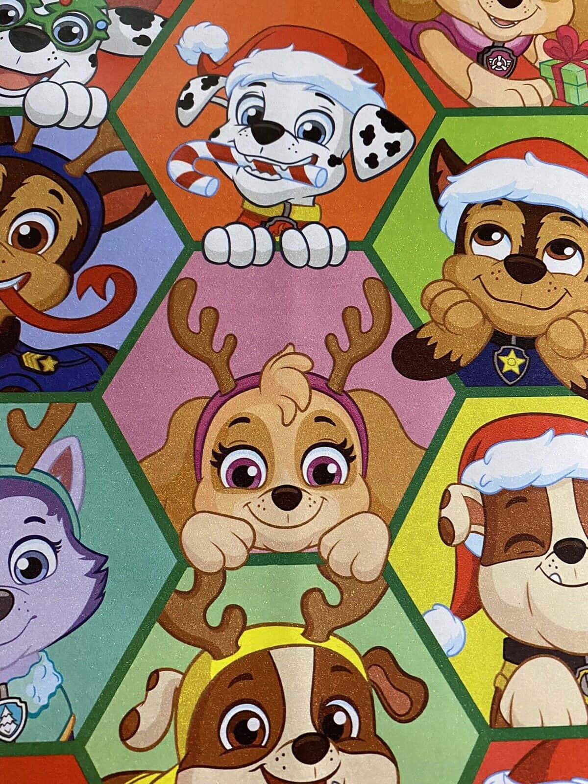 Paw Patrol Characters Holiday Themed Background