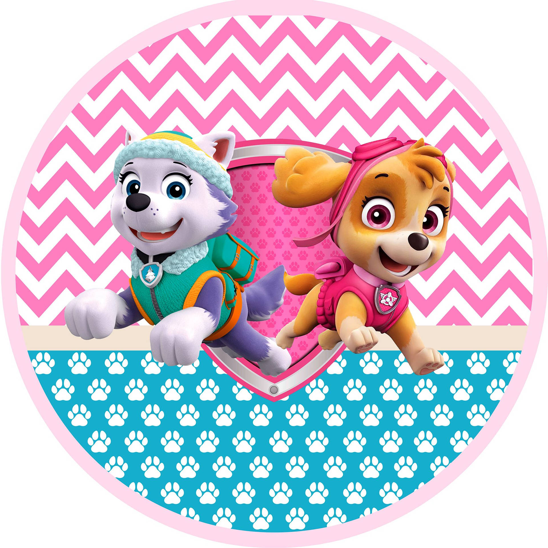 Paw Patrol Everest And Skye Background