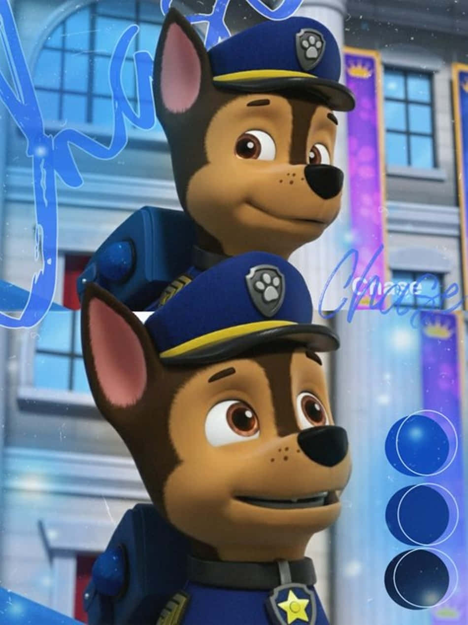 Paw Patrol - Paw Patrol - Paw Patrol - Paw Patrol - Paw Patrol - Paw Patrol - Paw Background