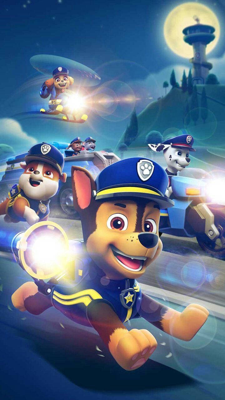 Paw Patrol The Movie Responding