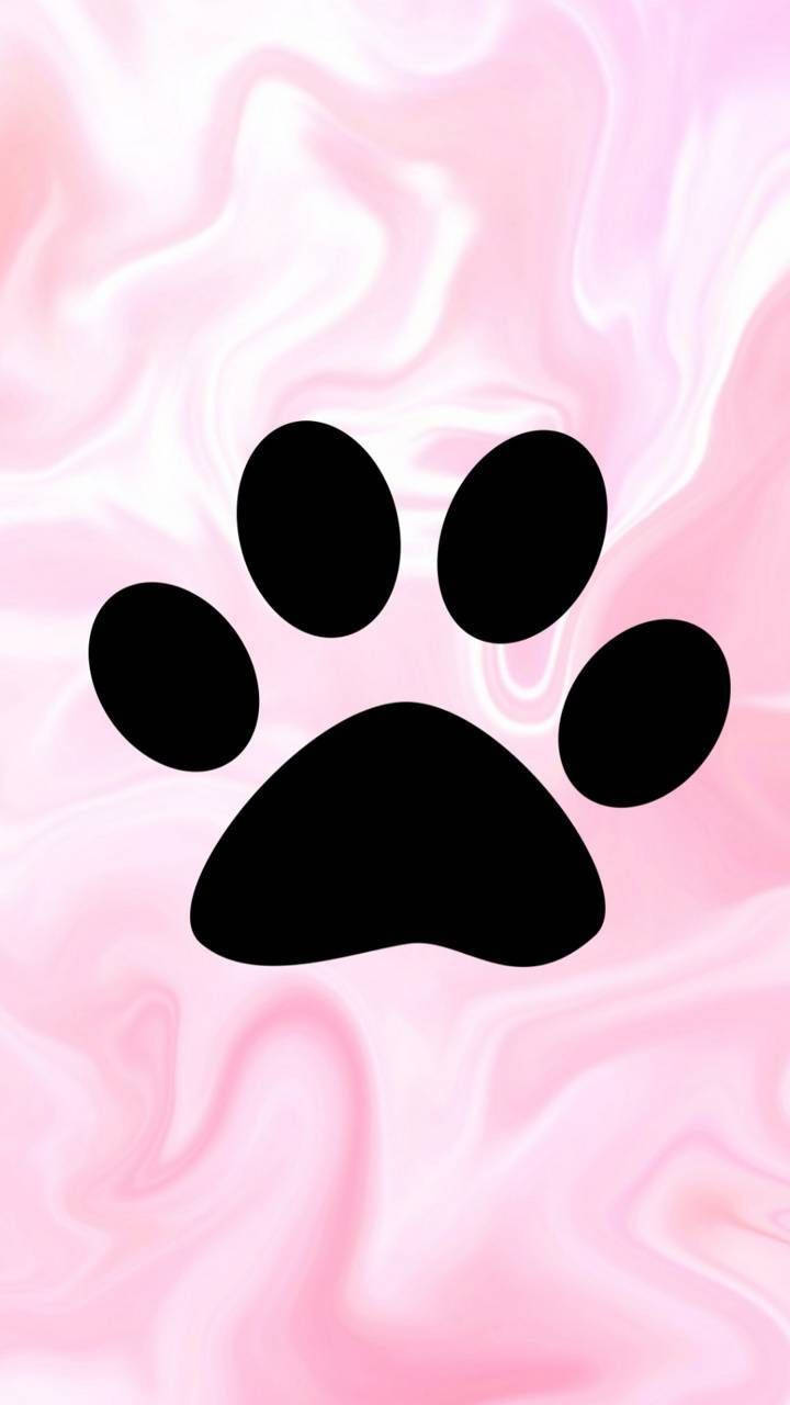 Paw Print On Pink Marble Background