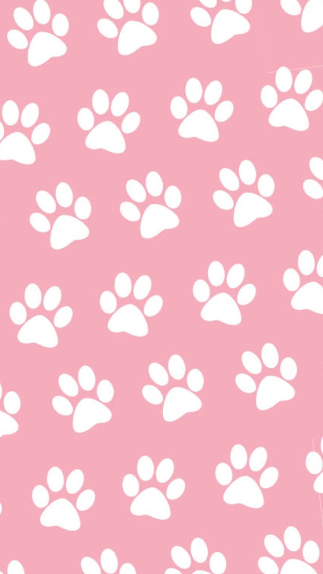 Paw Prints On Pink Background