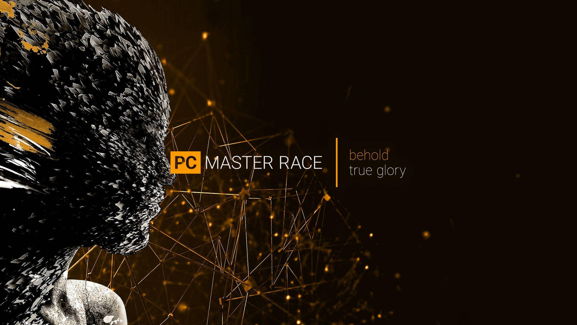 Pc Master Race Face Background