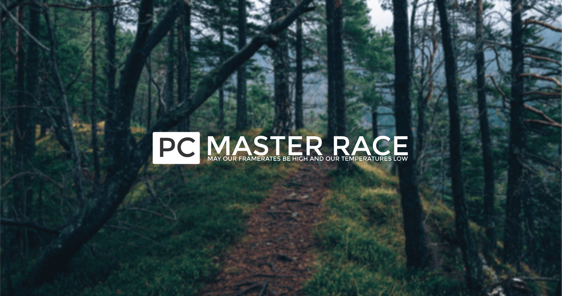 Pc Master Race Forest Landscape Background