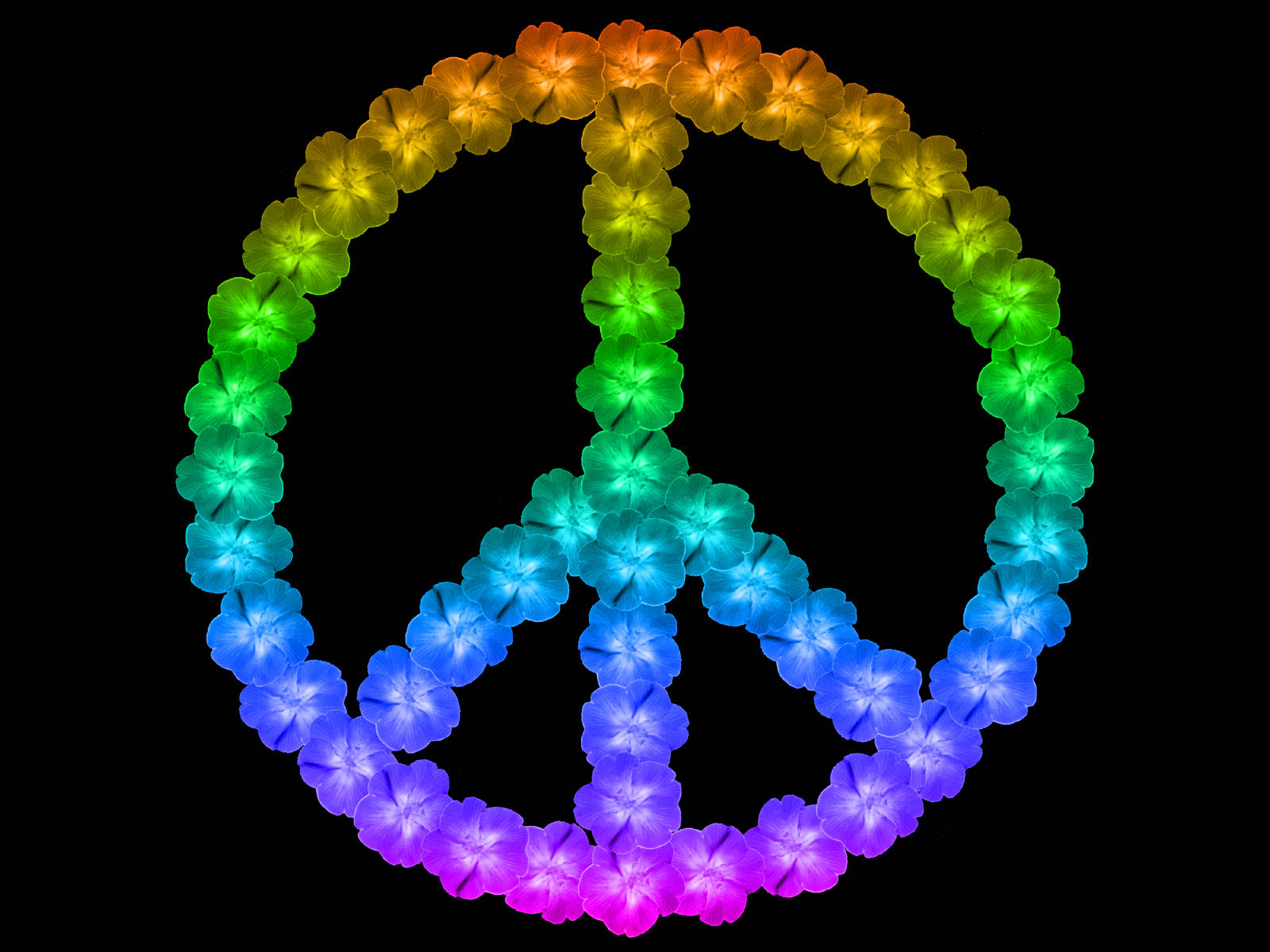 Peace Symbol Rainbow Flowers Background