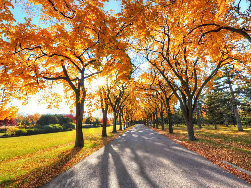 Peaceful Autumn Landscape In 1024 X 768 Resolution Background