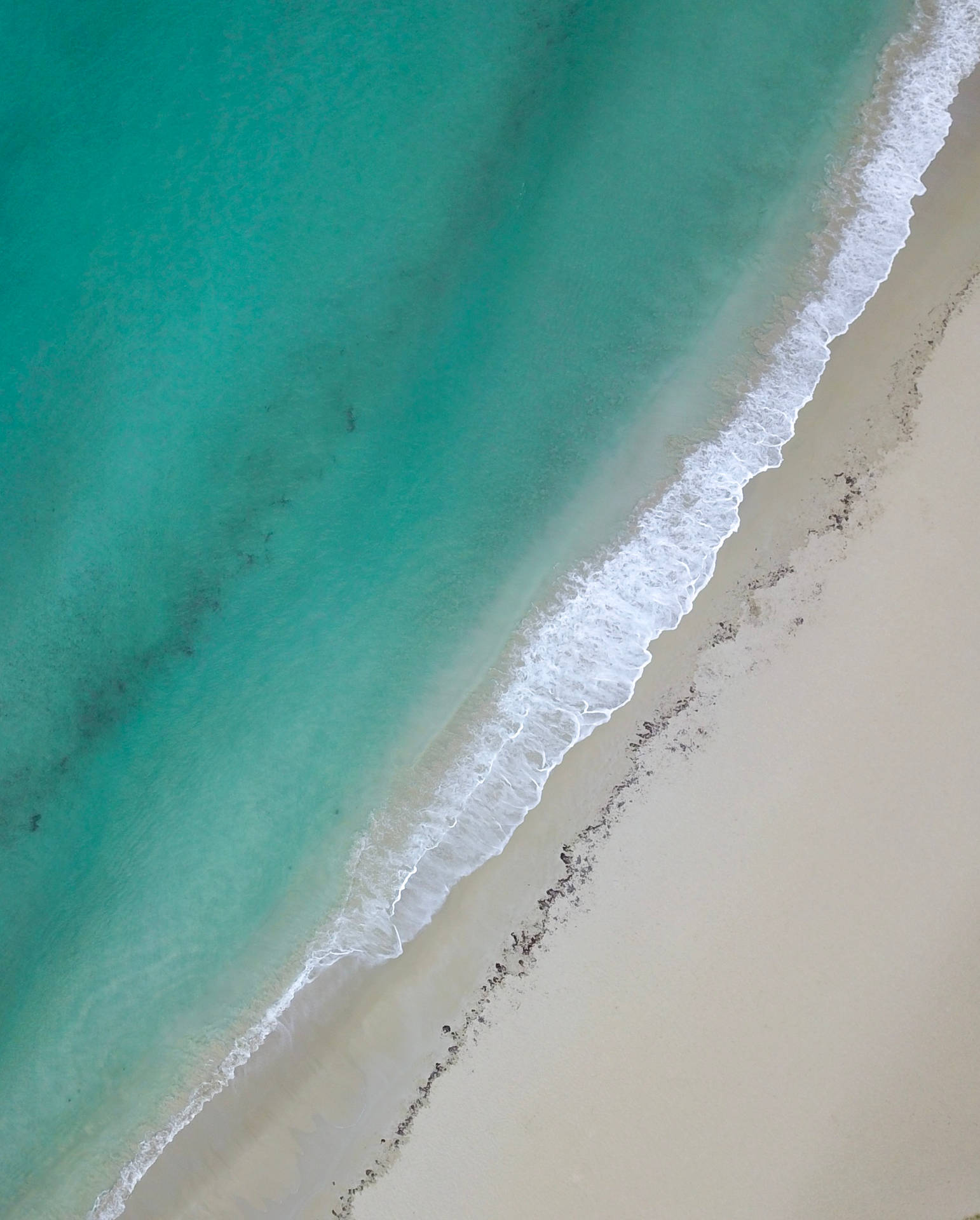 Peaceful Bondi Beach Australia Iphone Background