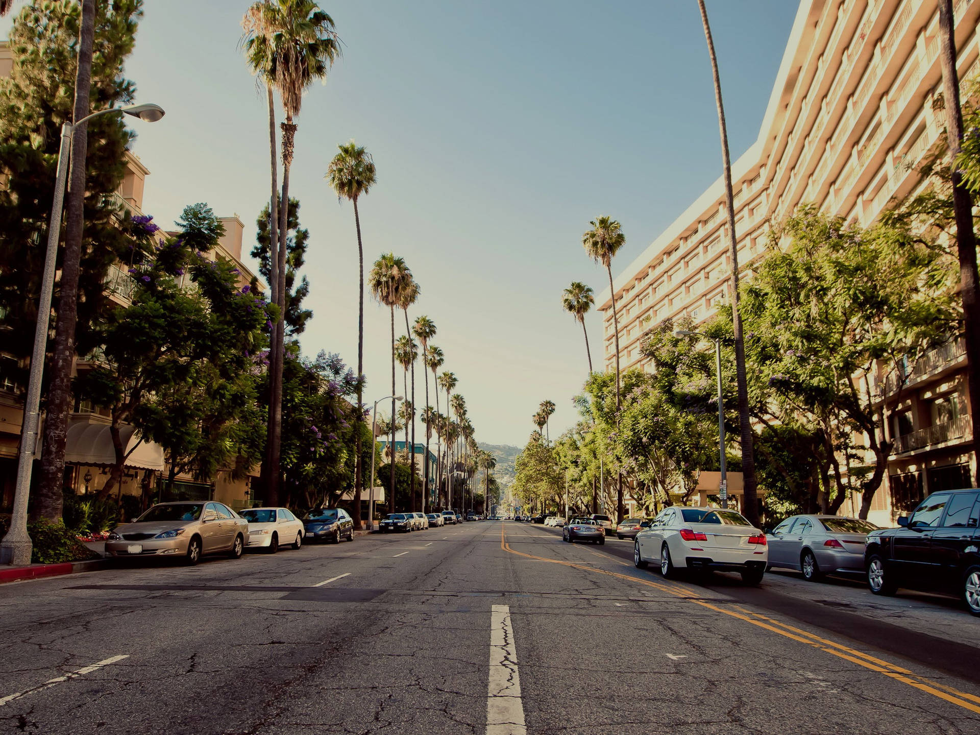 Peaceful Hollywood Street Background