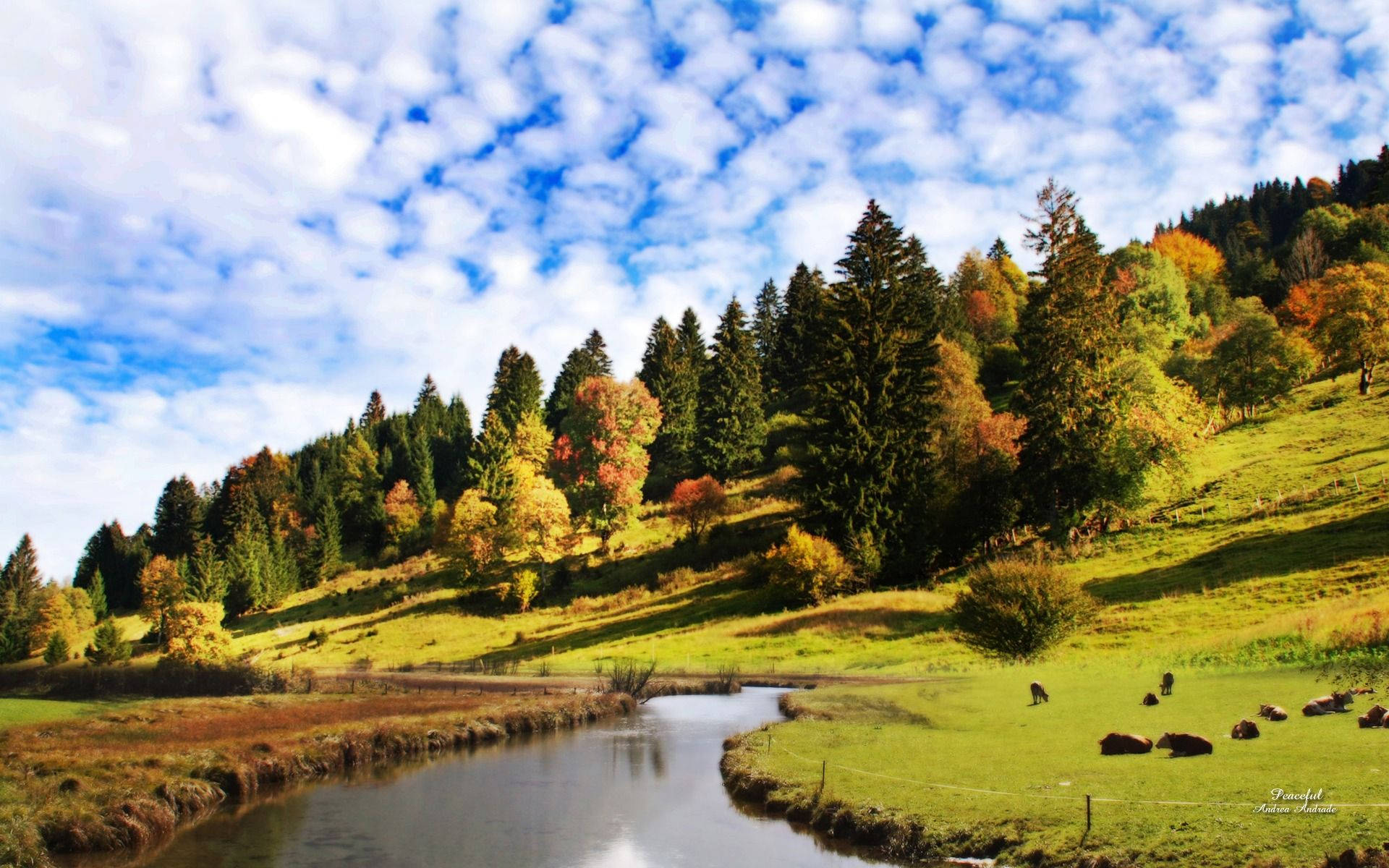 Peaceful Landscape By The River Background