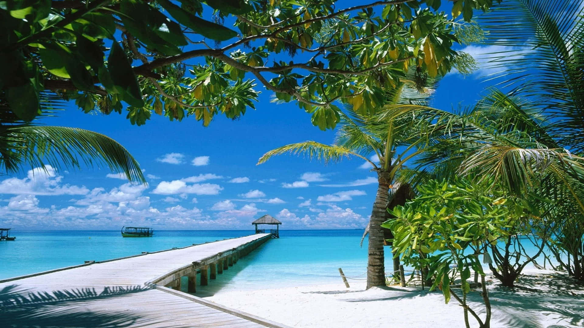 Peaceful Ocean View At Ocean Beach Background