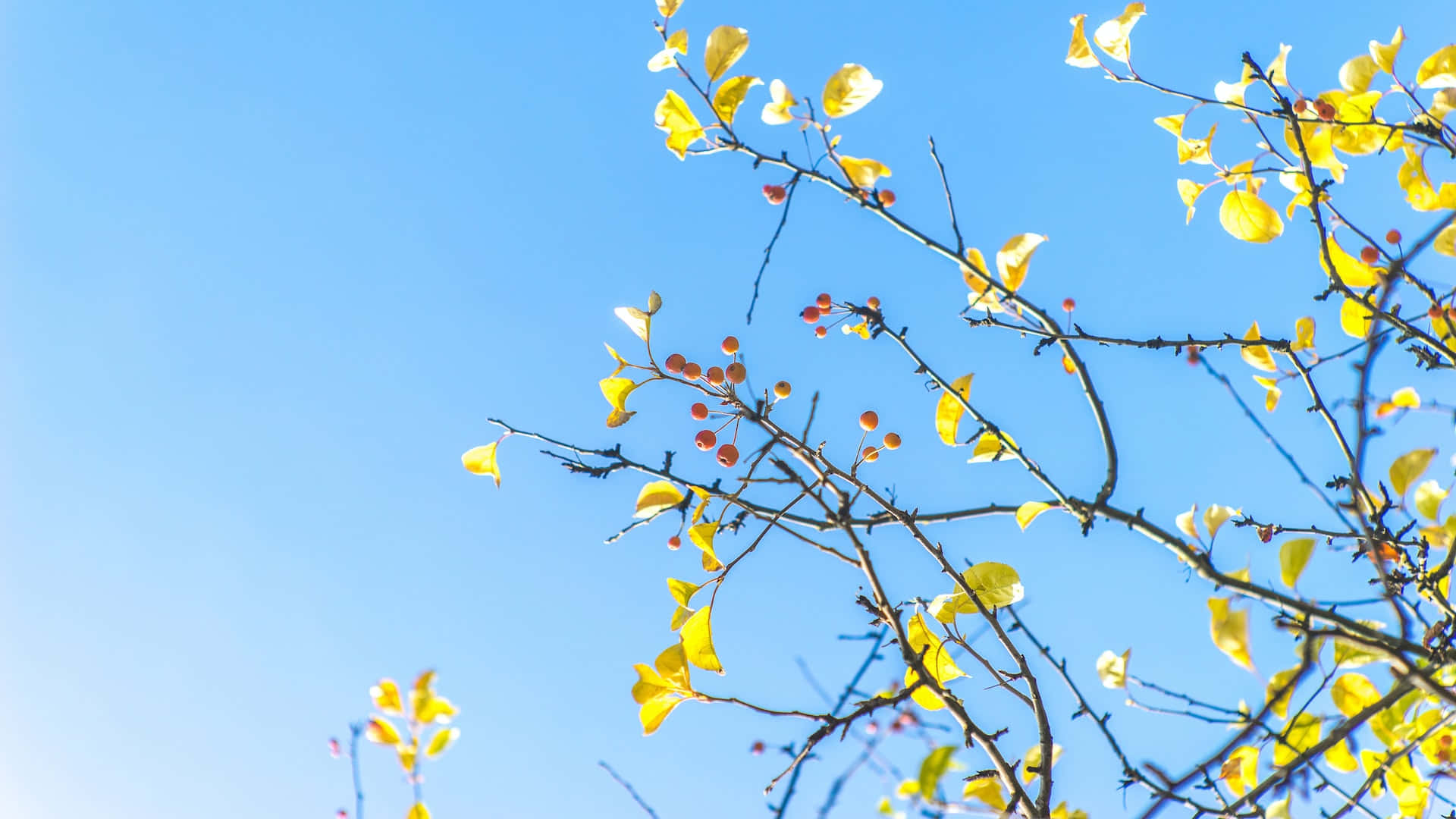 Peaceful Relaxing Azure Sky Background