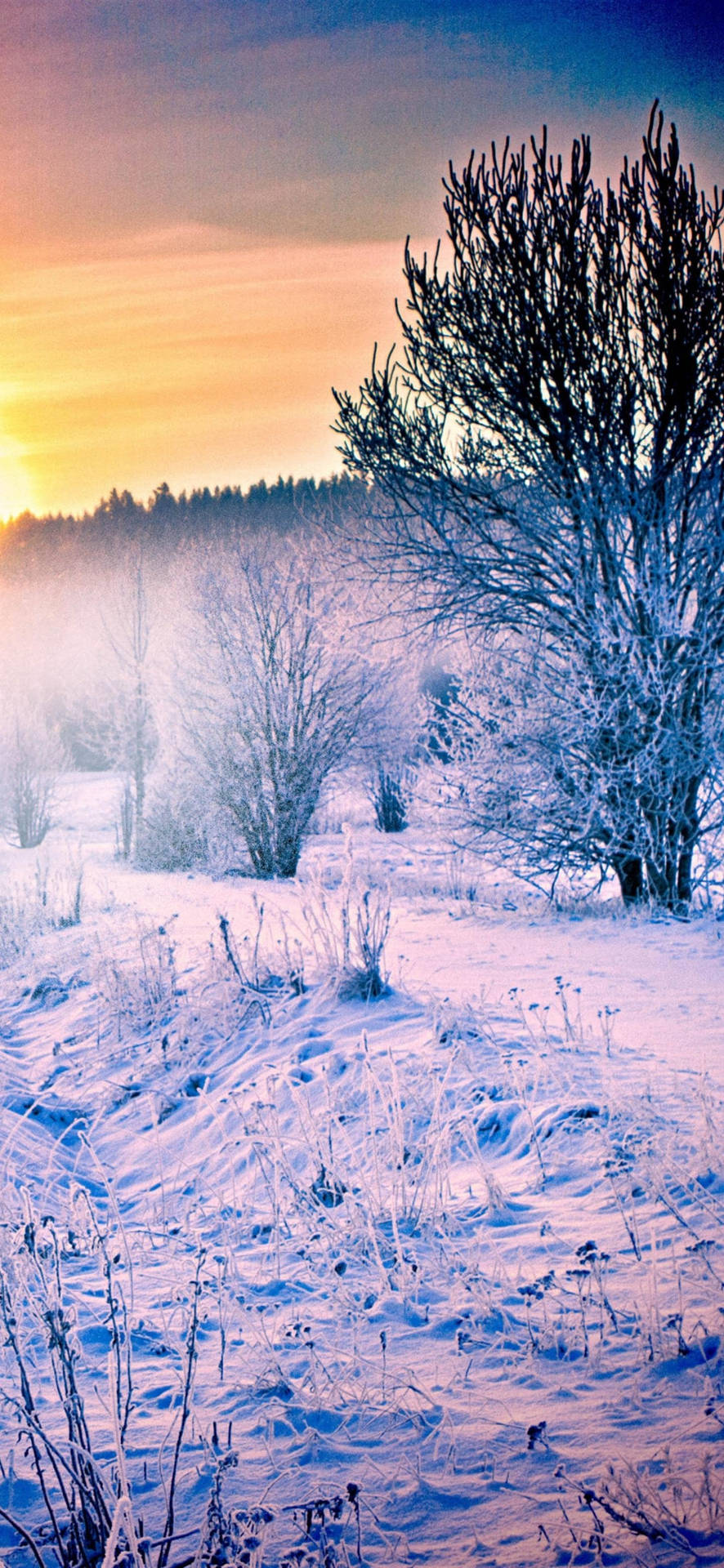 Peaceful Sunset Winter Iphone