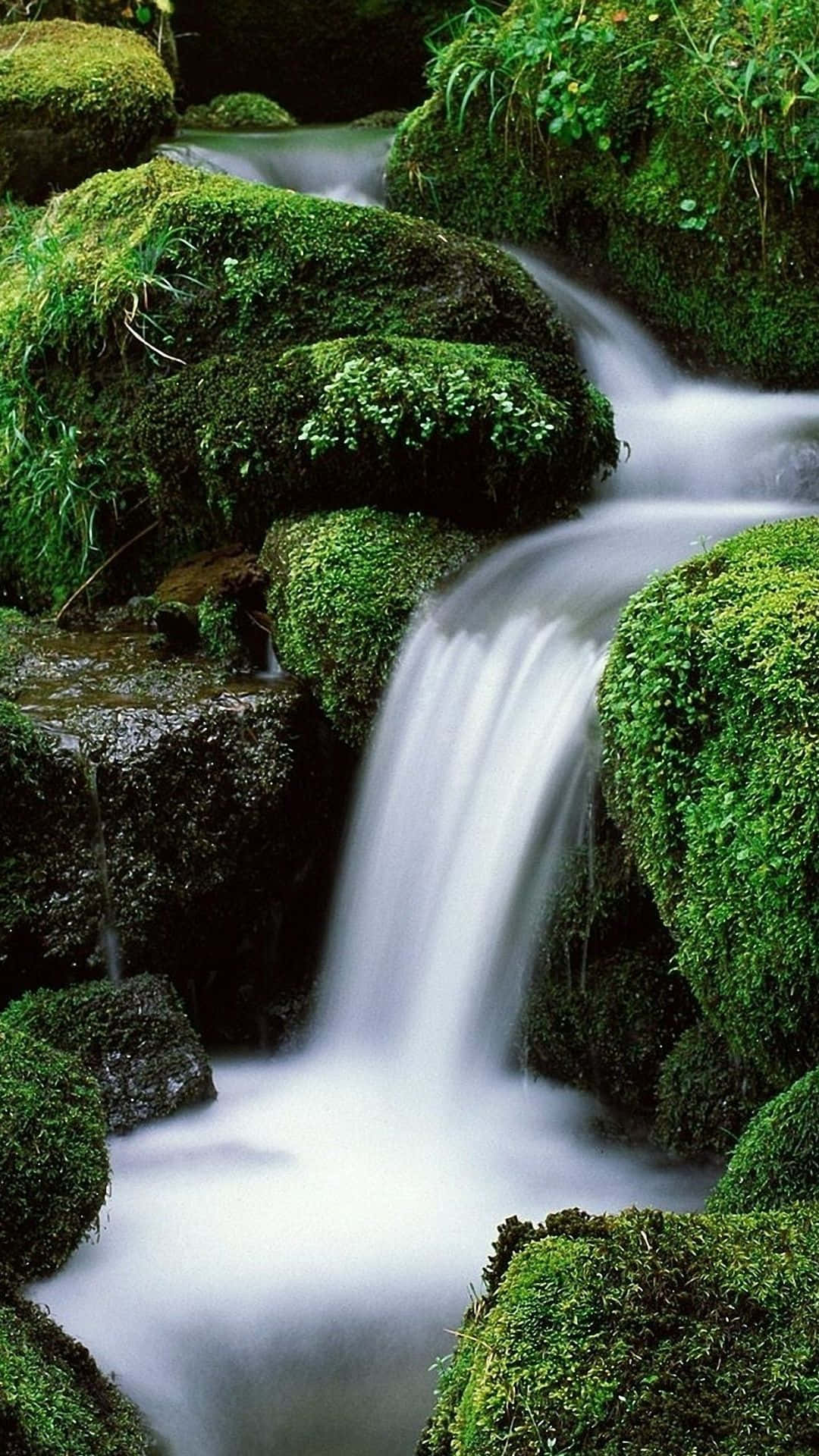 Peaceful View Of Nature Background