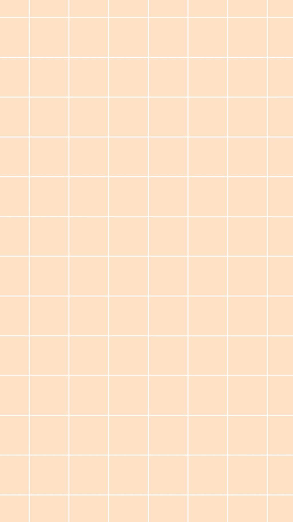 Peach Aesthetic Grid Background