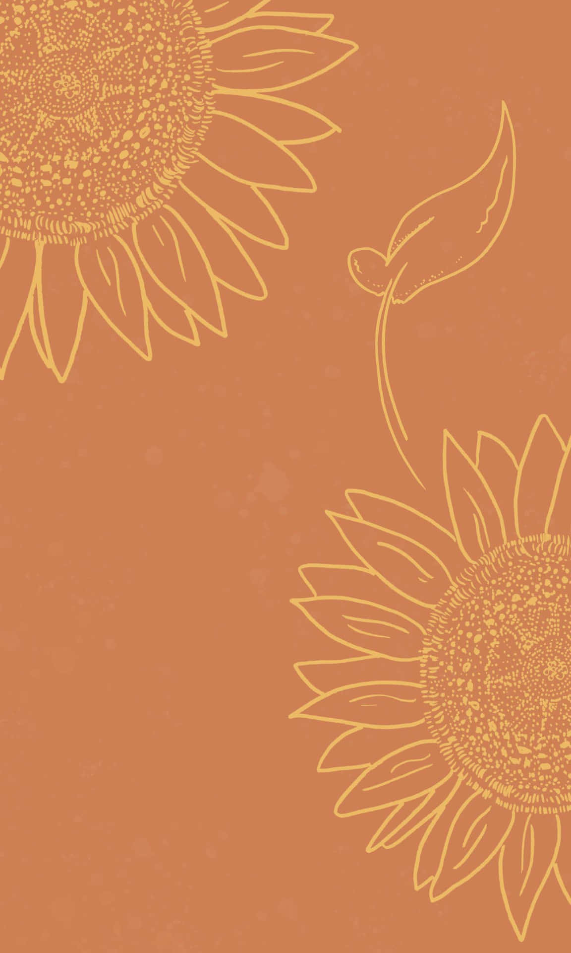 Peach Colored Sunflower Aesthetic Iphone Background