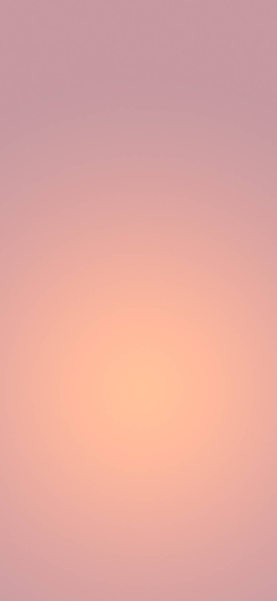 Peach Colour Simple Iphone Background