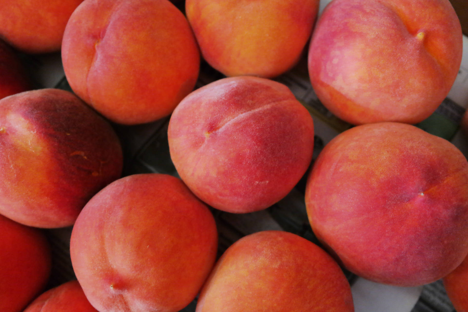 Peach Fruit Round Shape Background