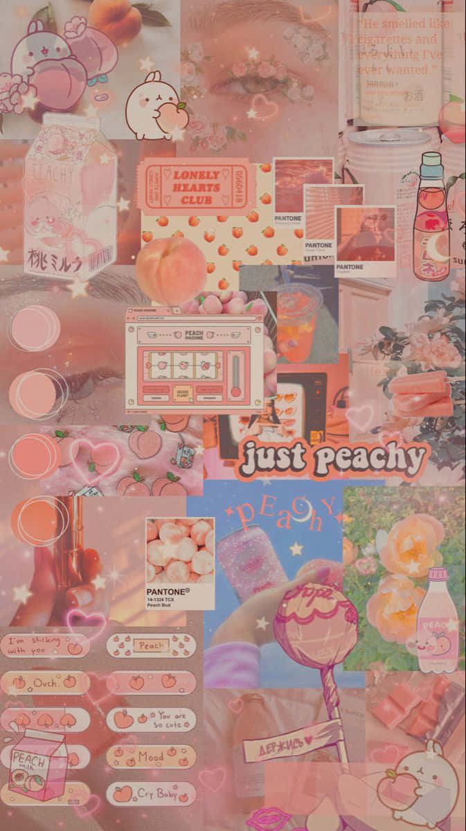 Peach Peach Peach Peach Peach Peach Peach Peach Peach Peach Peach Peach Peach Peach Peach Peach Background