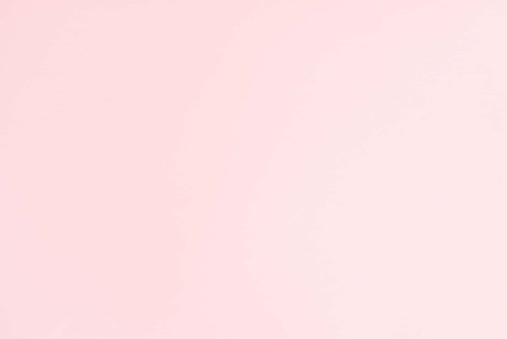 Peach Pink Solid Color Background