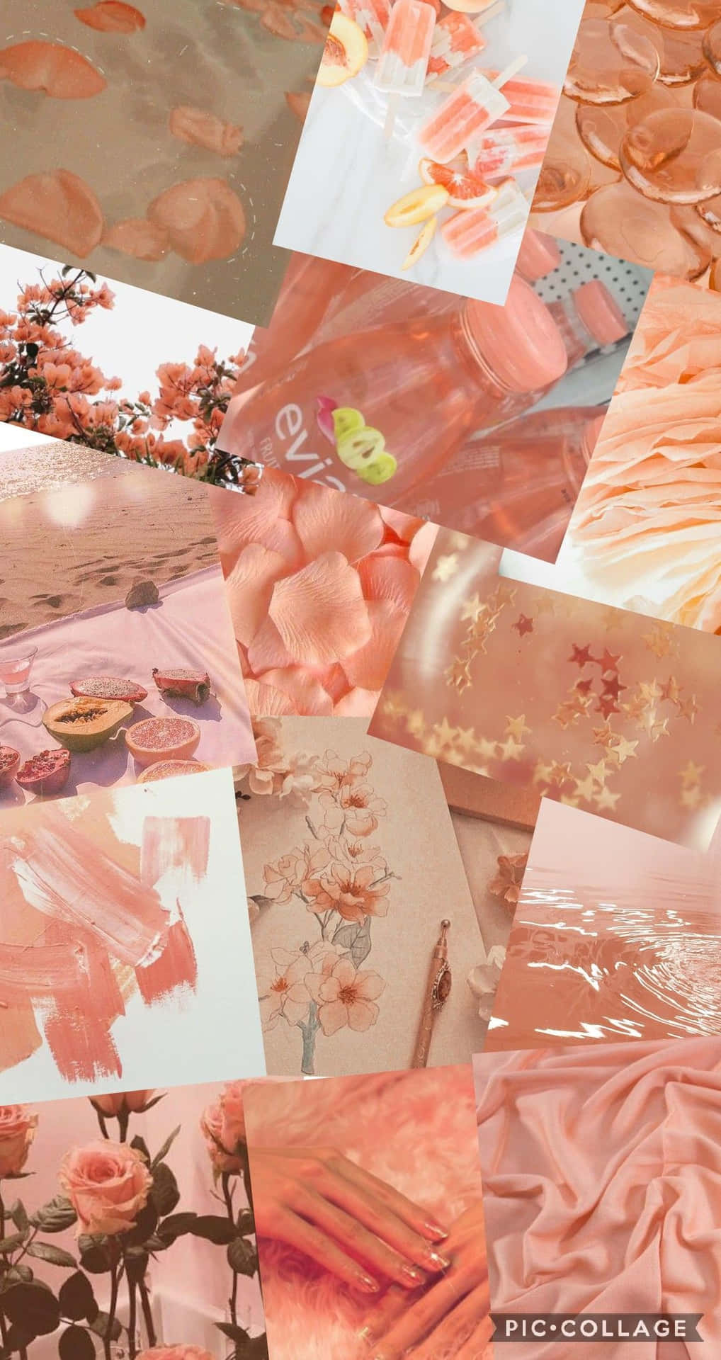 Peach Roses - A Collage Of Pictures Background
