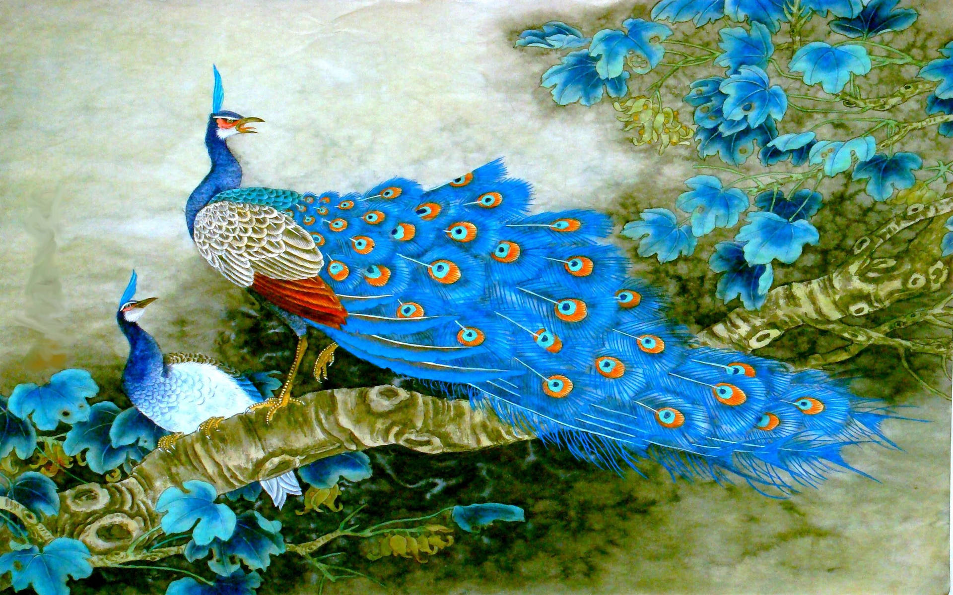 Peacock Canvas Painting Background