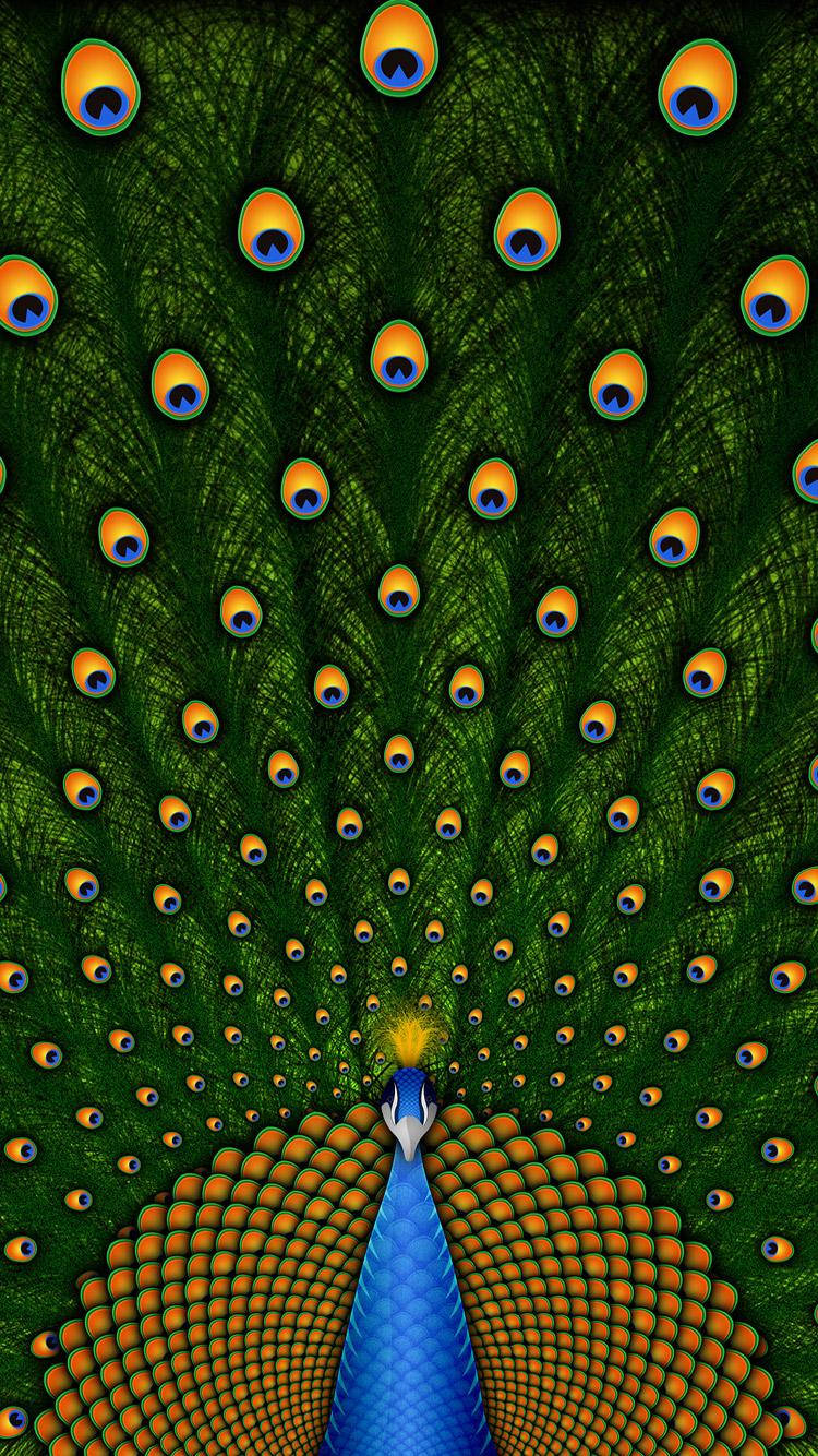 Peacock Train Beautiful Phone Background
