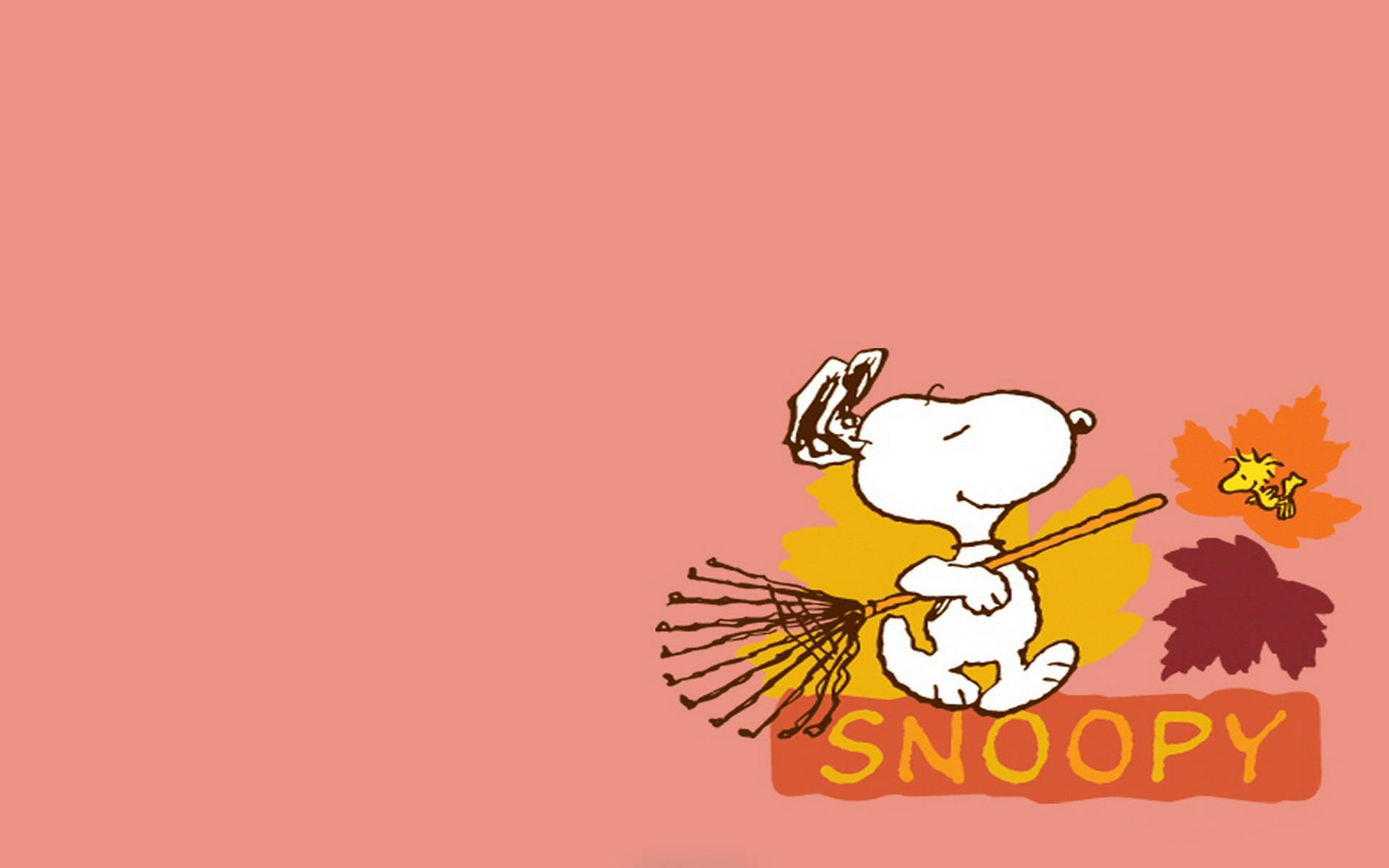 Peanuts Thanksgiving And Autumn Art Background