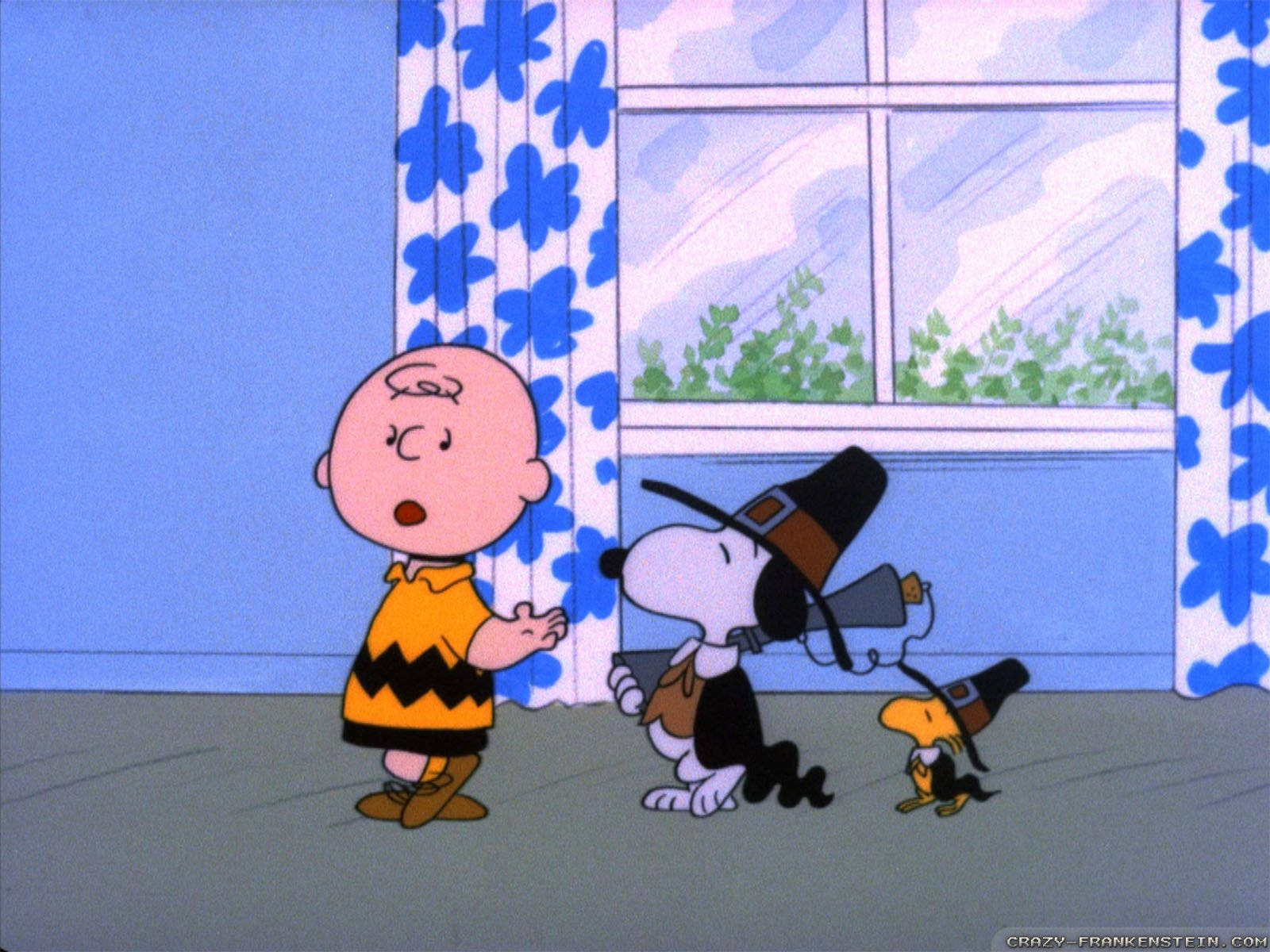 Peanuts Thanksgiving Episode Still Background